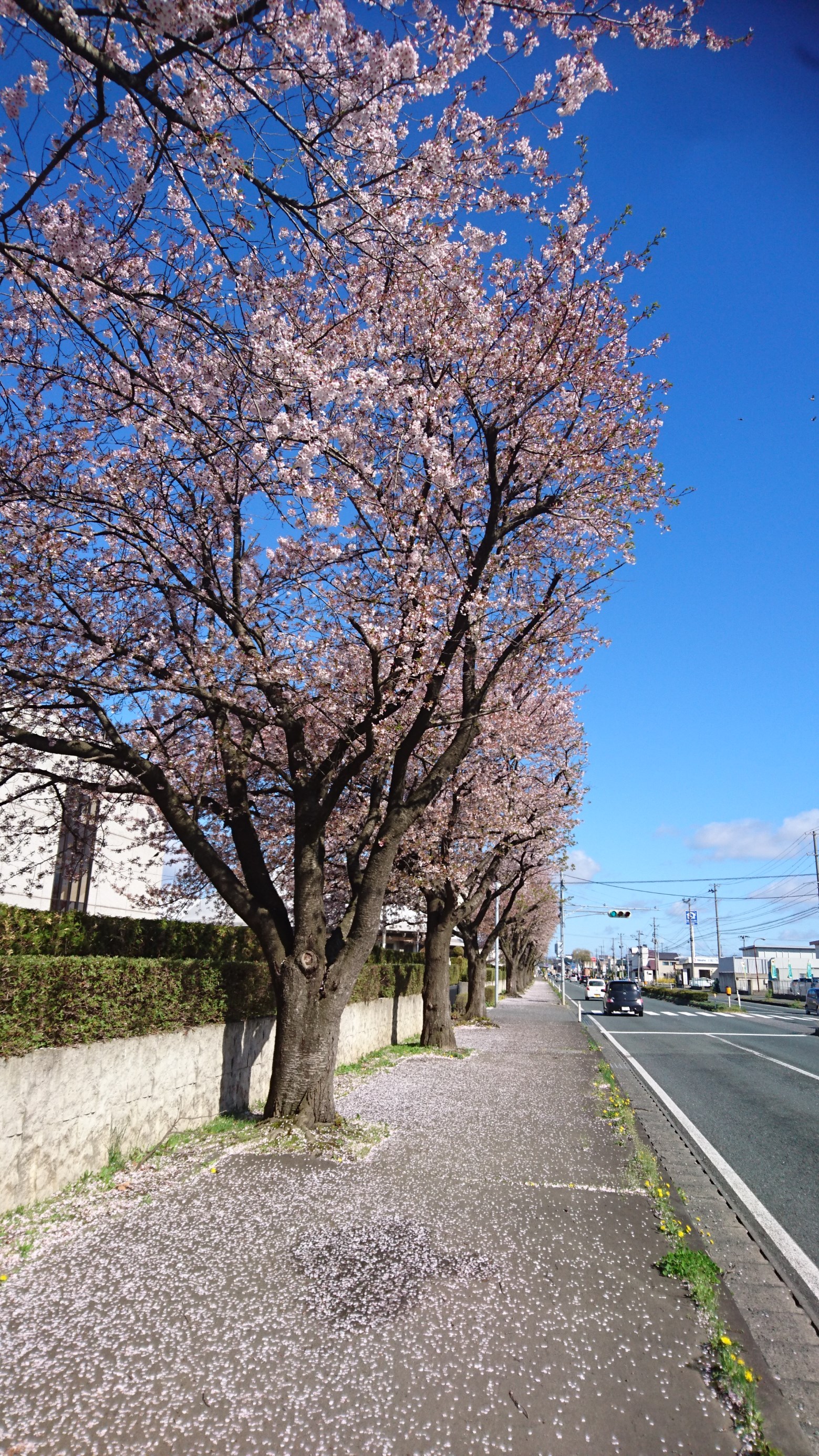 タイヤ館モリオカ店長　撮影