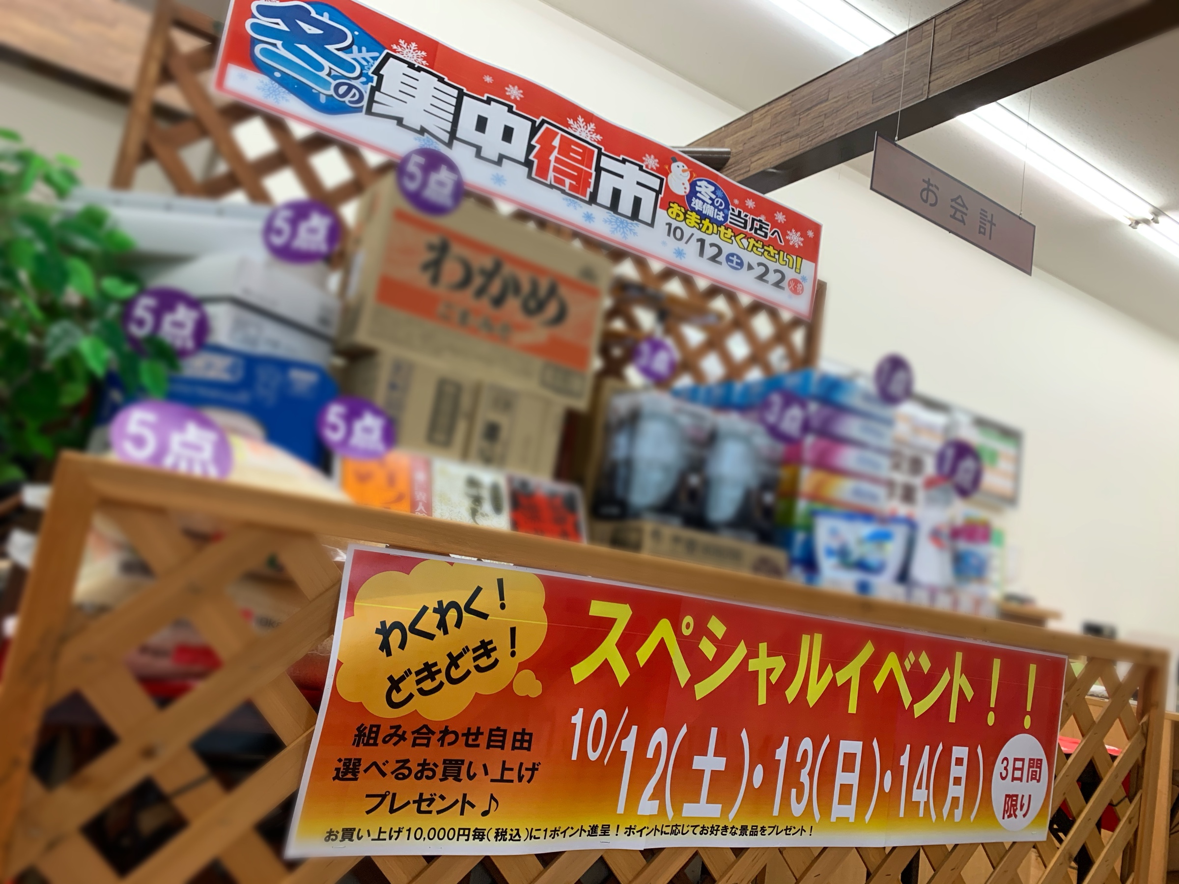 スタッフが撮影、加工した画像