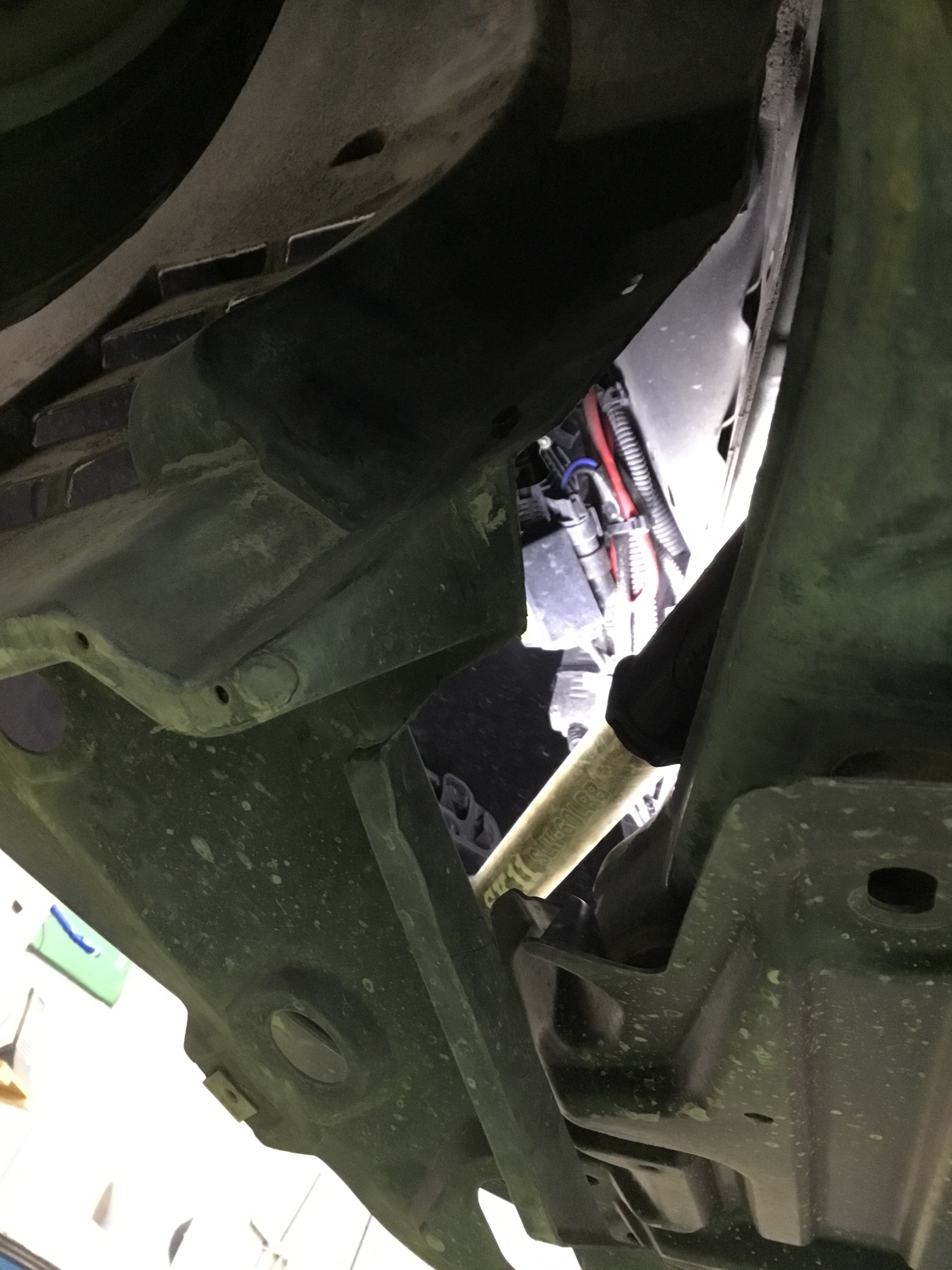 スタッフが撮影した写真です