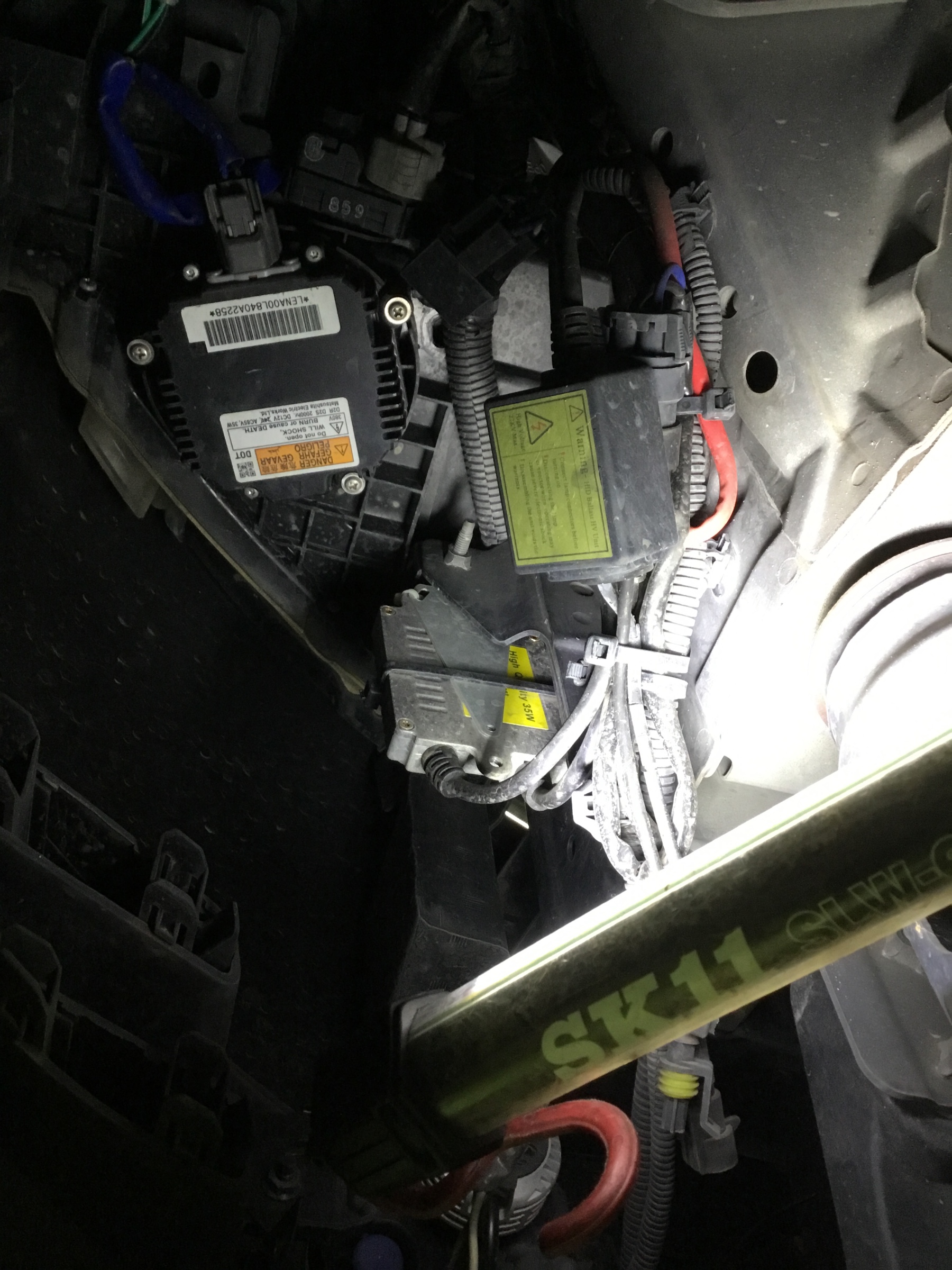 スタッフが撮影した写真です