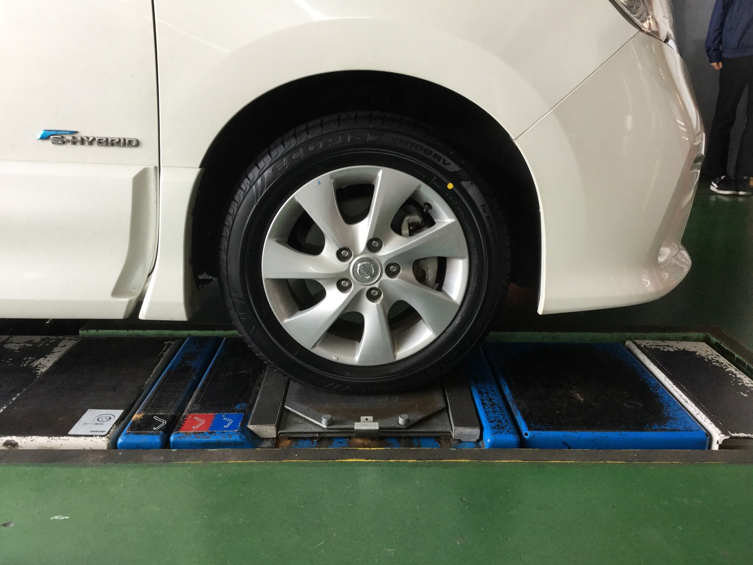 スタッフが撮影しました。