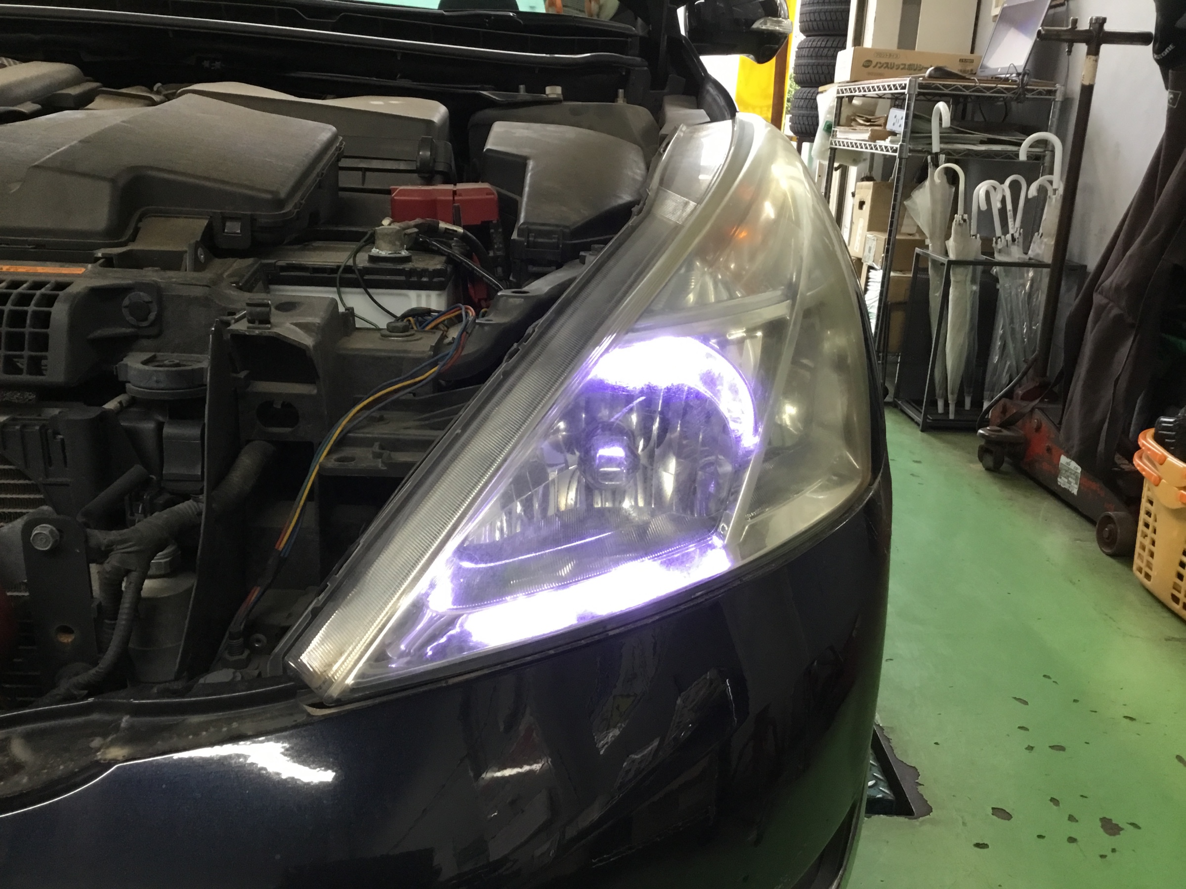 スタッフが撮影した写真です