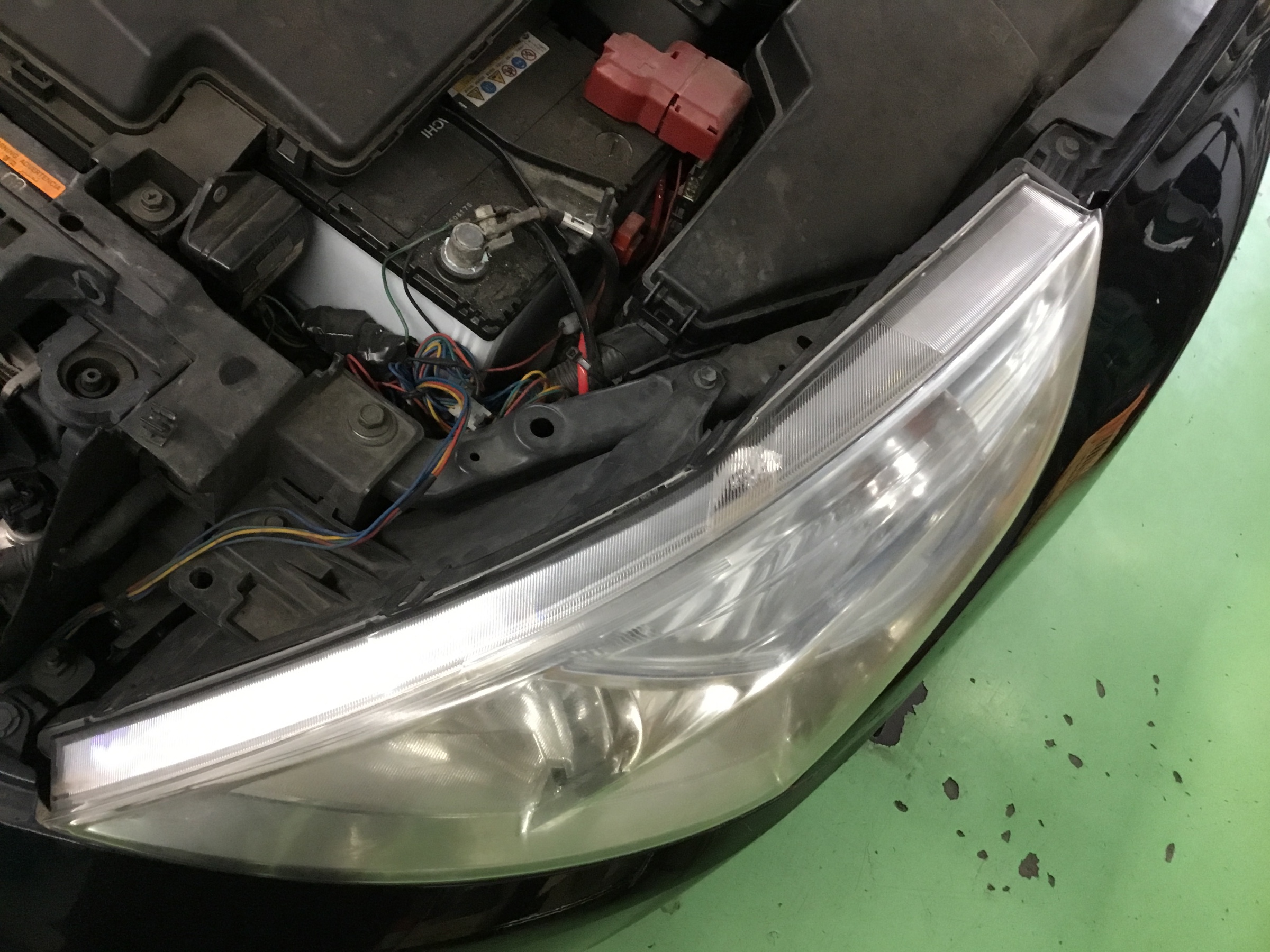 スタッフが撮影した写真です。