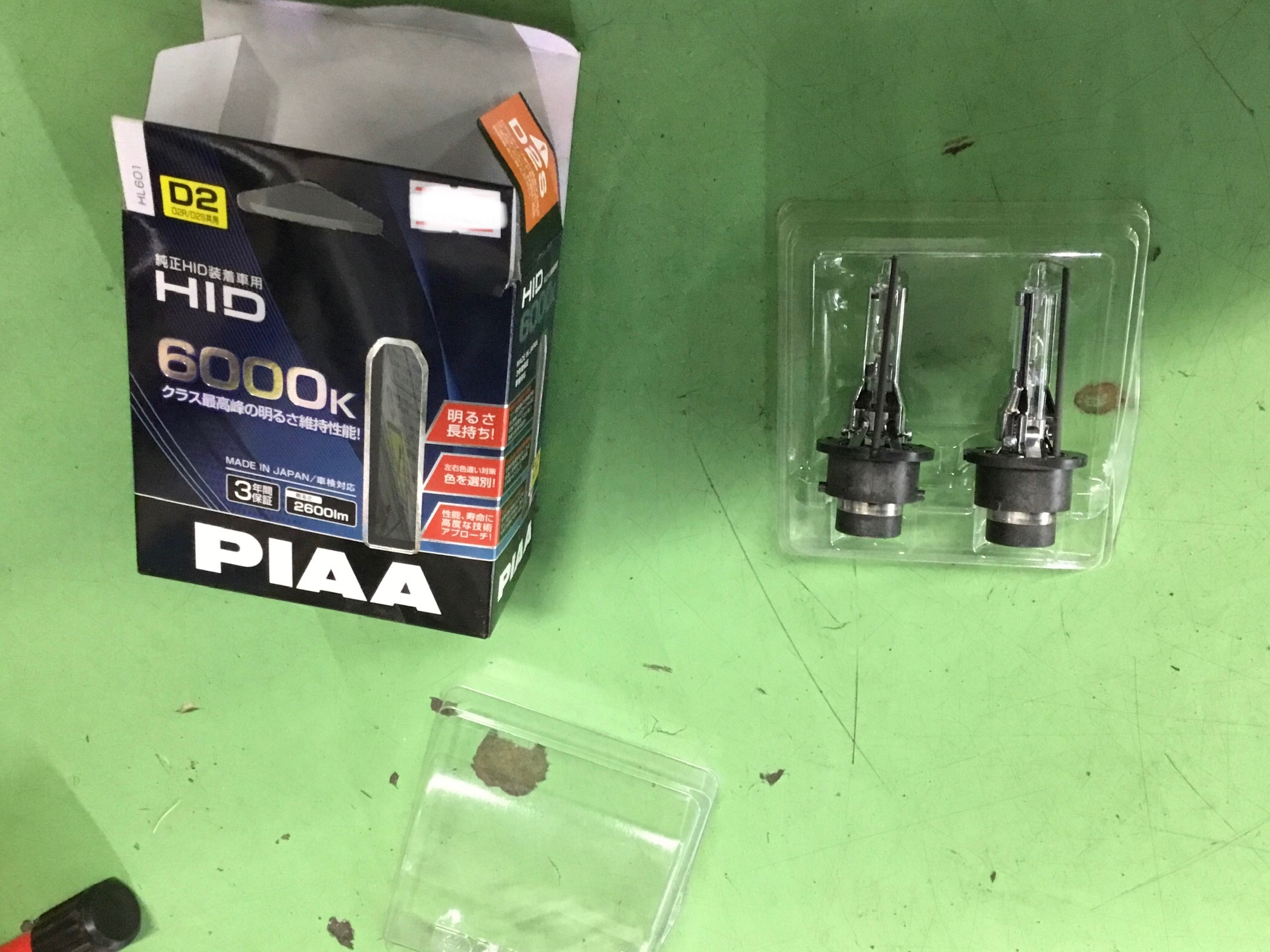 スタッフが撮影した写真です