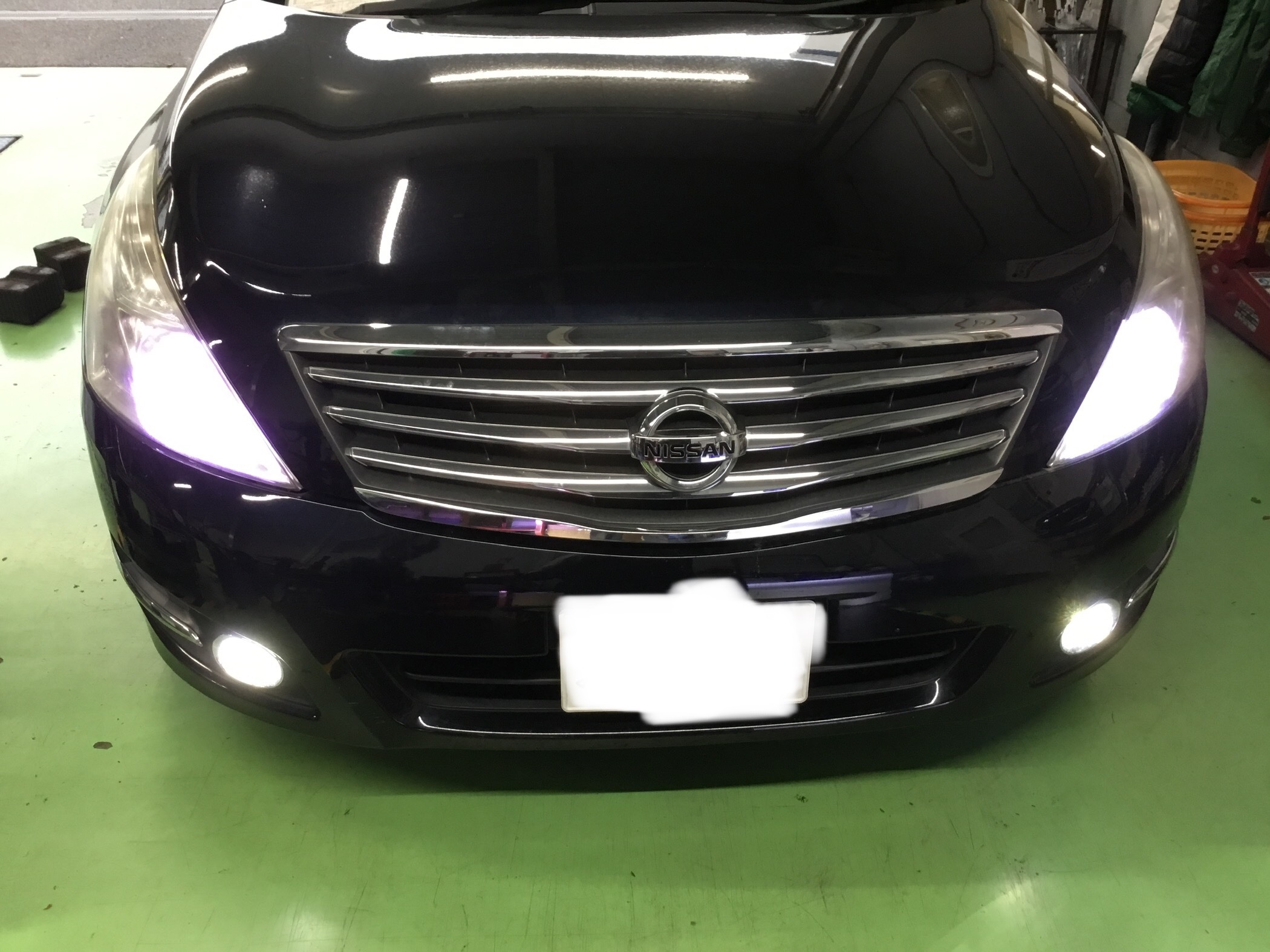 スタッフが撮影した画像です