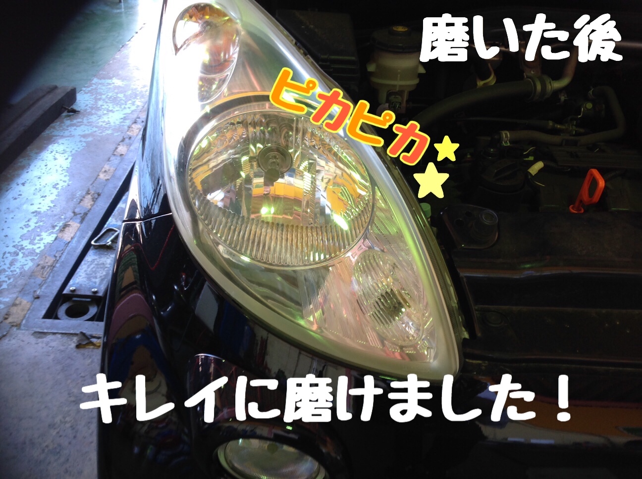 スタッフが撮影、加工した画像です。