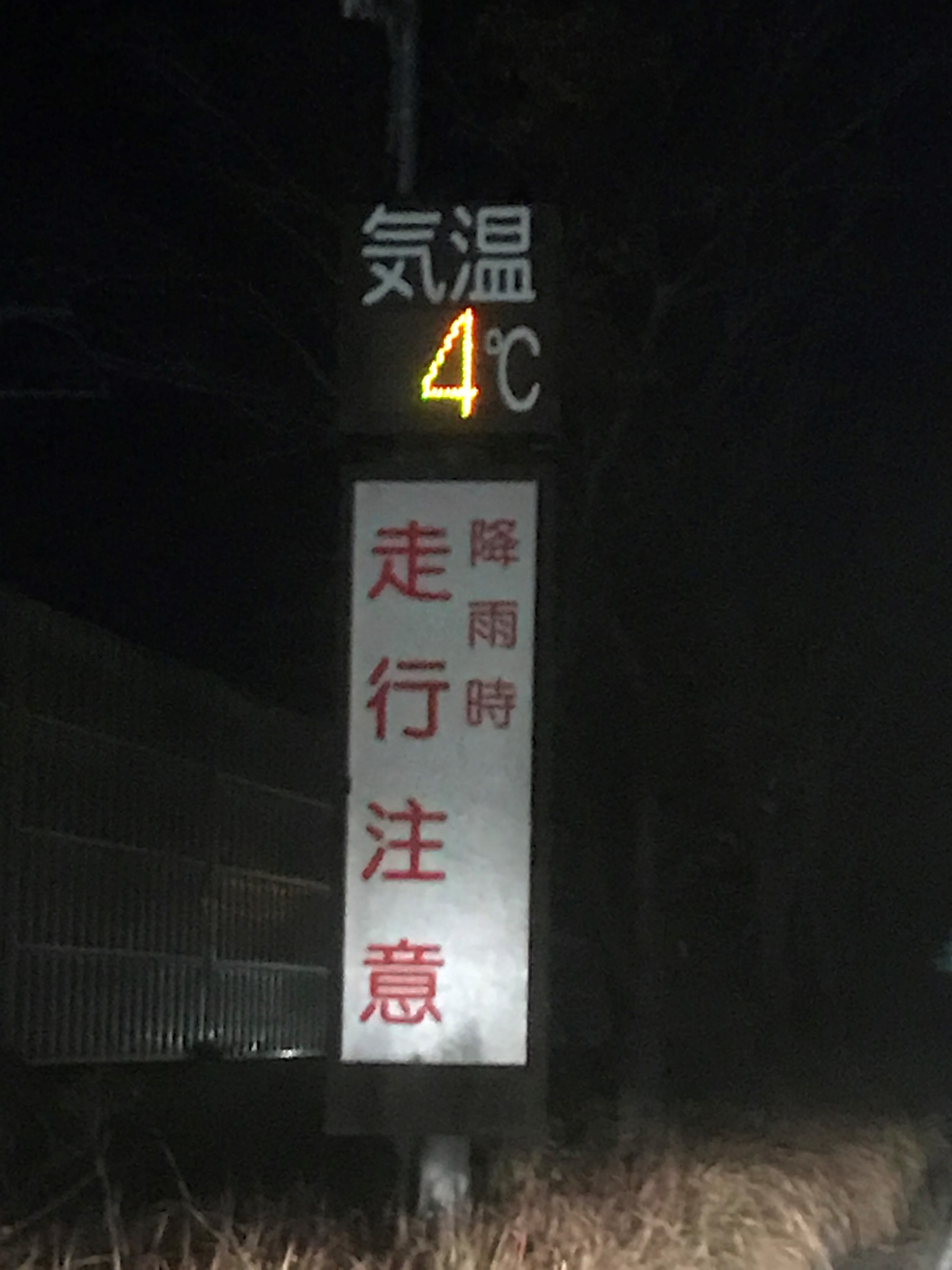 スタッフが撮影した写真です。