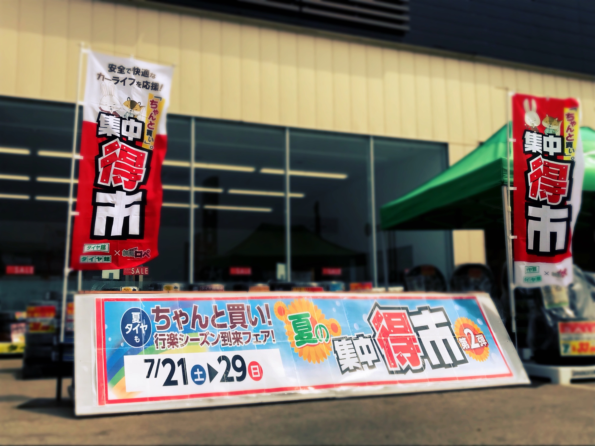 スタッフが撮影した画像です。