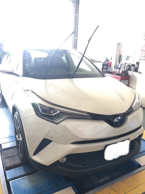 スタッフ撮影 ナンバーはペイントで隠しています