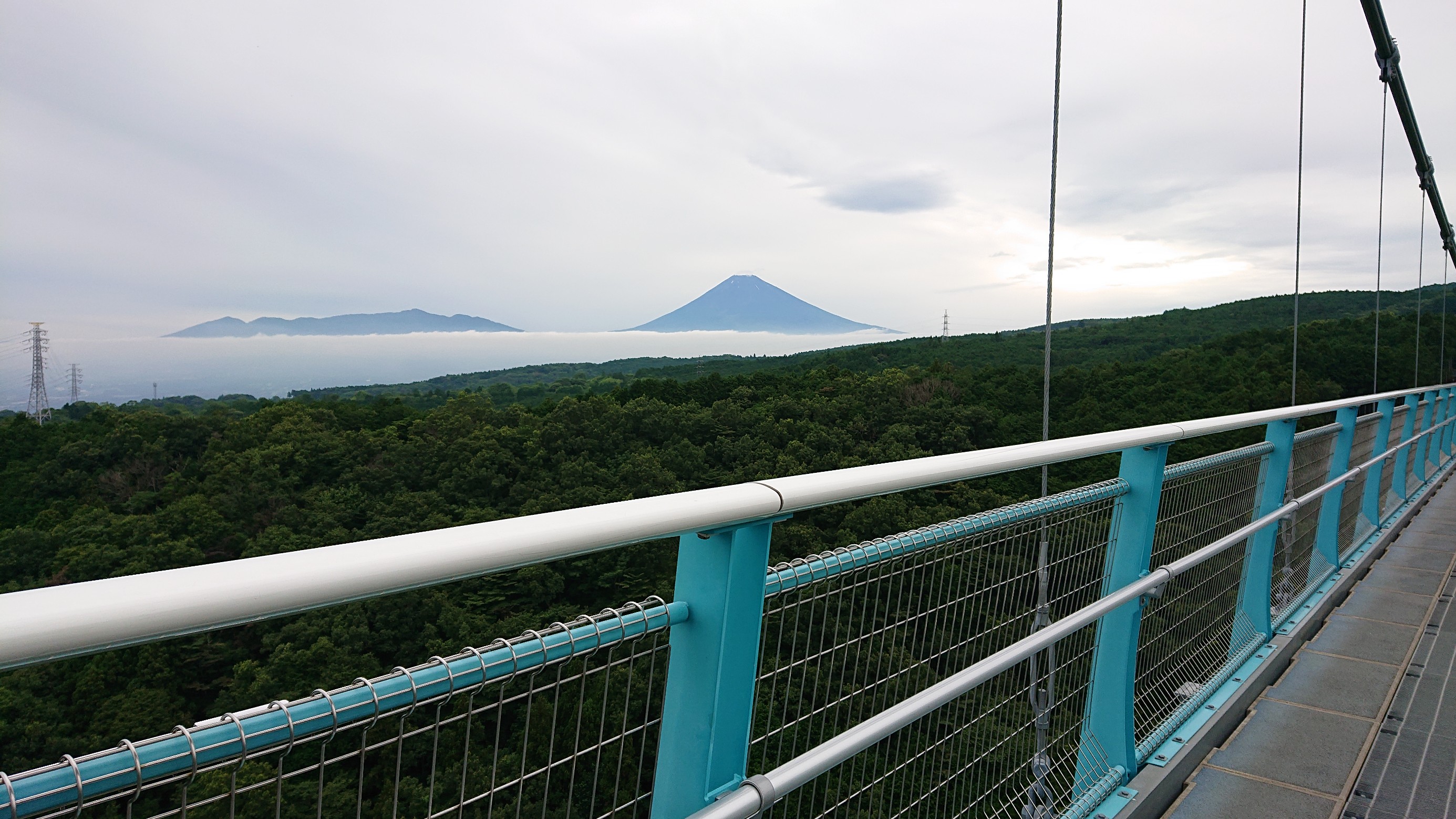 吊り橋の上から富士山
