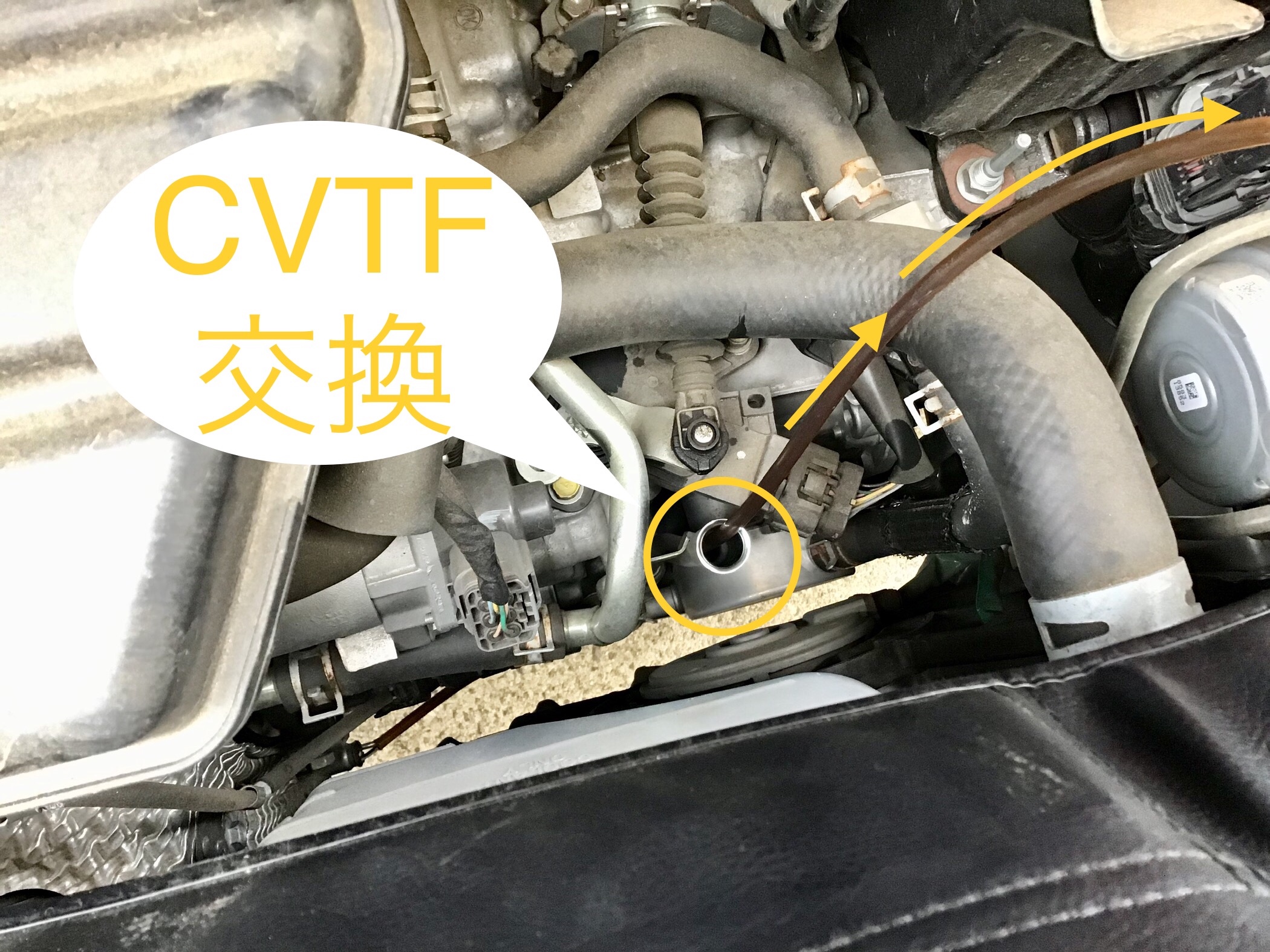 Cvtフルード交換 スズキ スペーシア メンテナンス商品 オイル関連 Atf交換 サービス事例 タイヤ館 守谷ふれあい 茨城県のタイヤ カー用品ショップ タイヤからはじまる トータルカーメンテナンス タイヤ館グループ