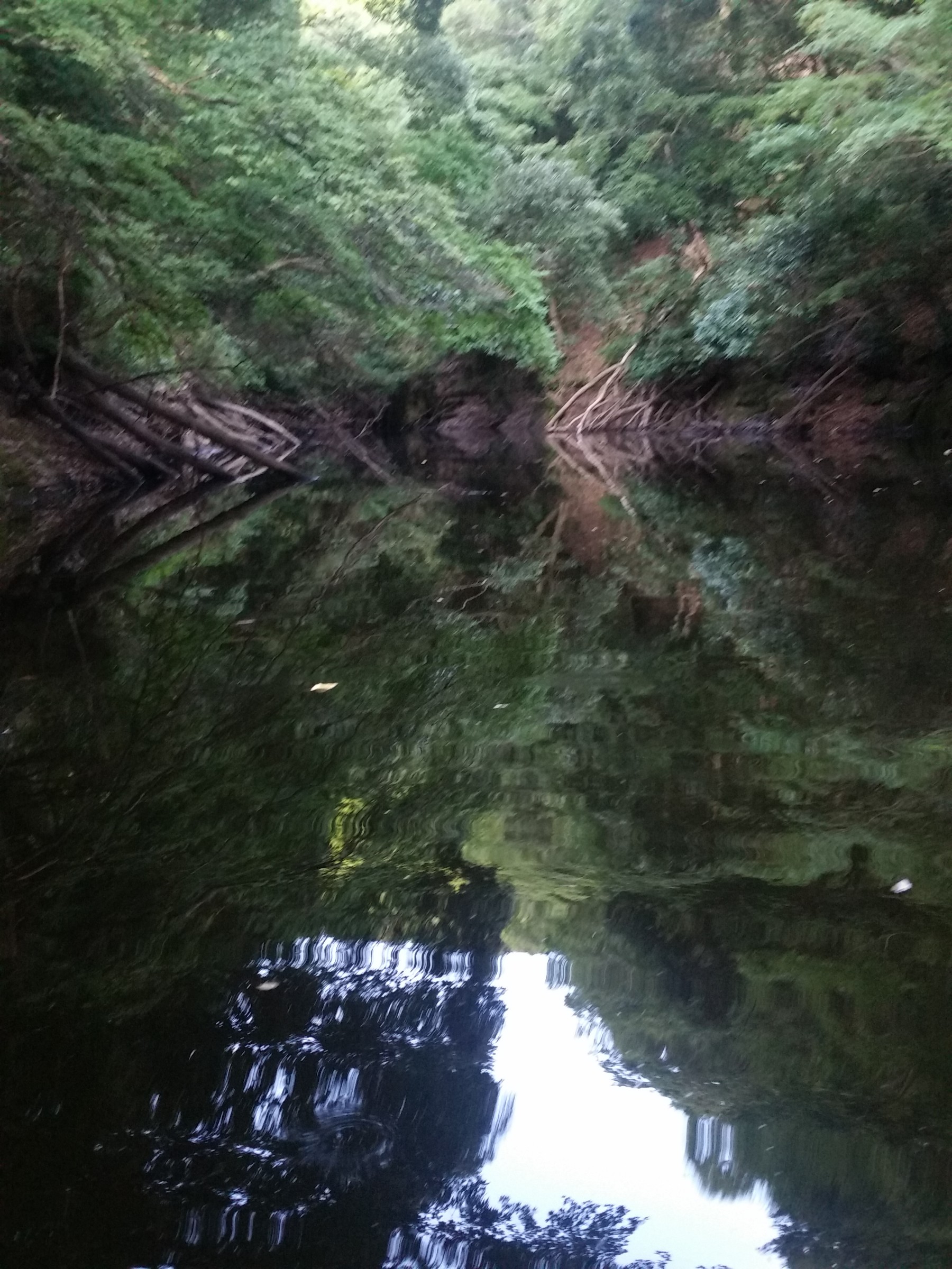 バス釣り スタッフ日記 タイヤ館 小松川 東京都のタイヤ カー用品ショップ タイヤからはじまる トータルカーメンテナンス タイヤ館グループ