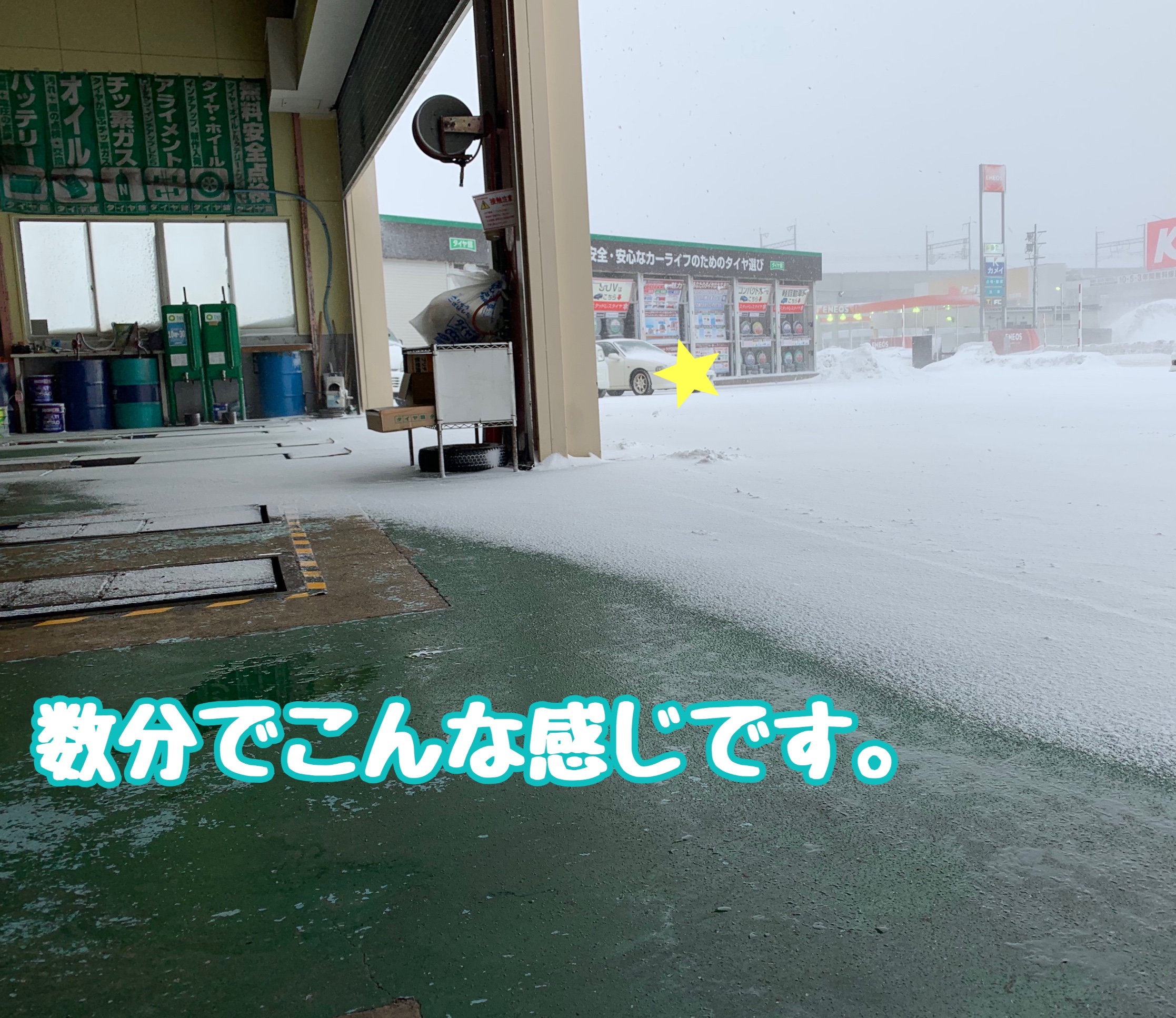 スタッフが撮影、加工した画像です。