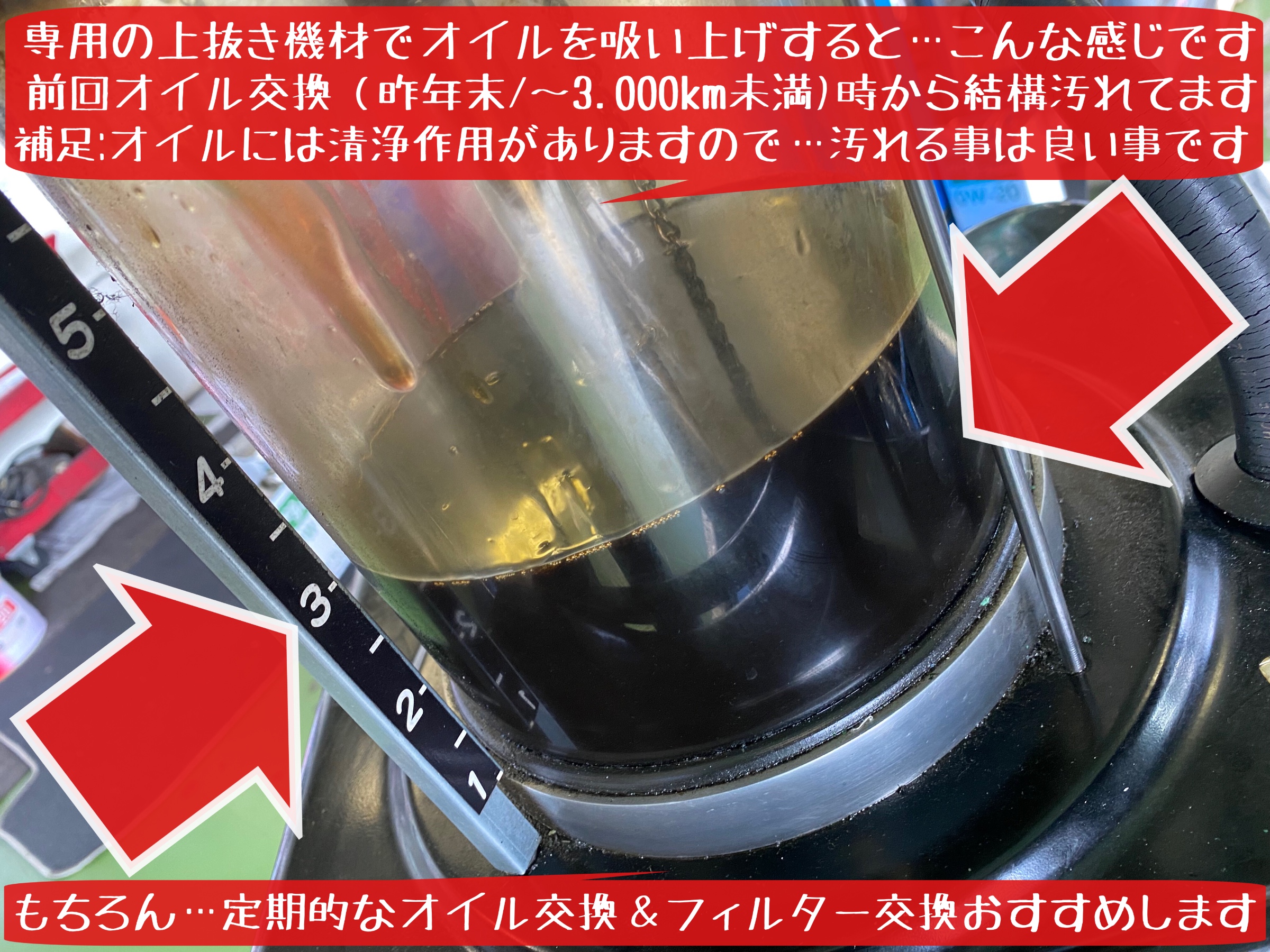 フォルクスワーゲン　ポロ　エンジンオイル交換　モチュール
