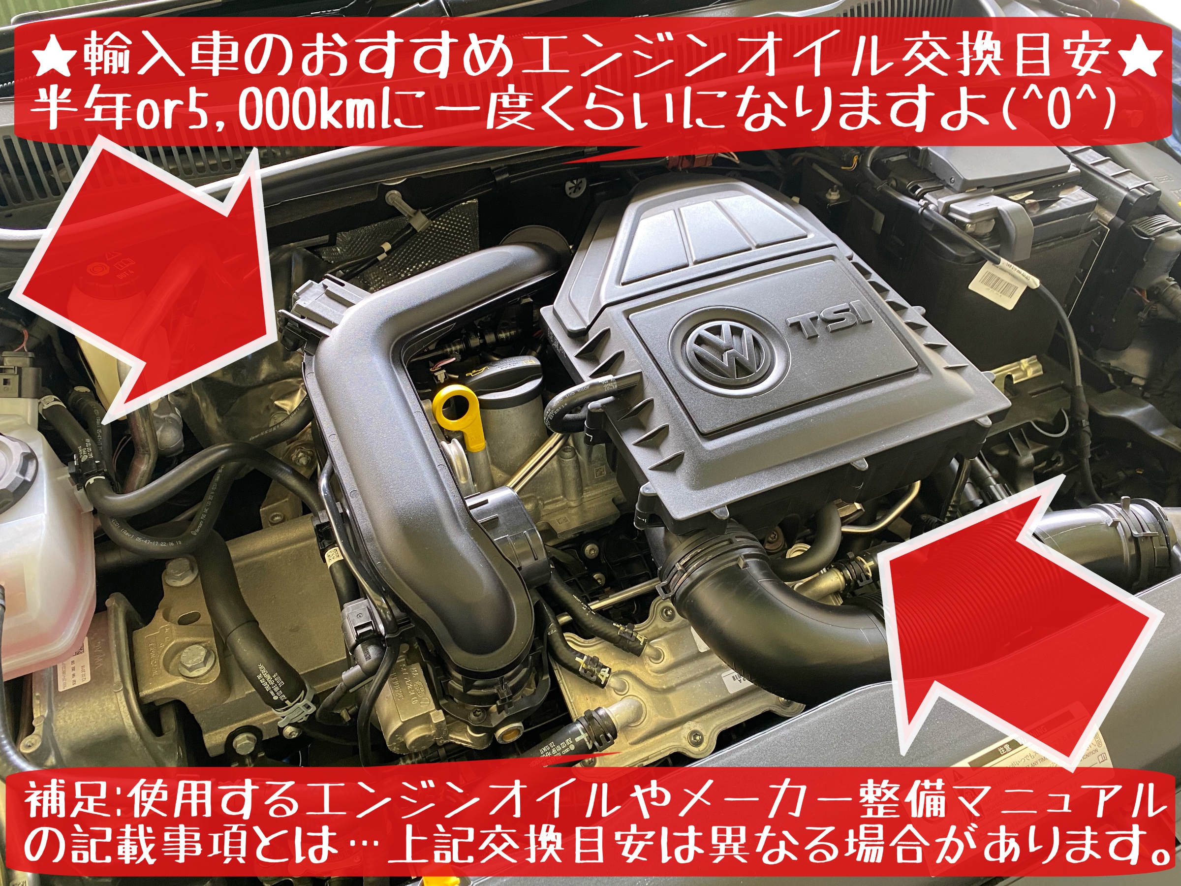 フォルクスワーゲン　ポロ　エンジンオイル交換　モチュール