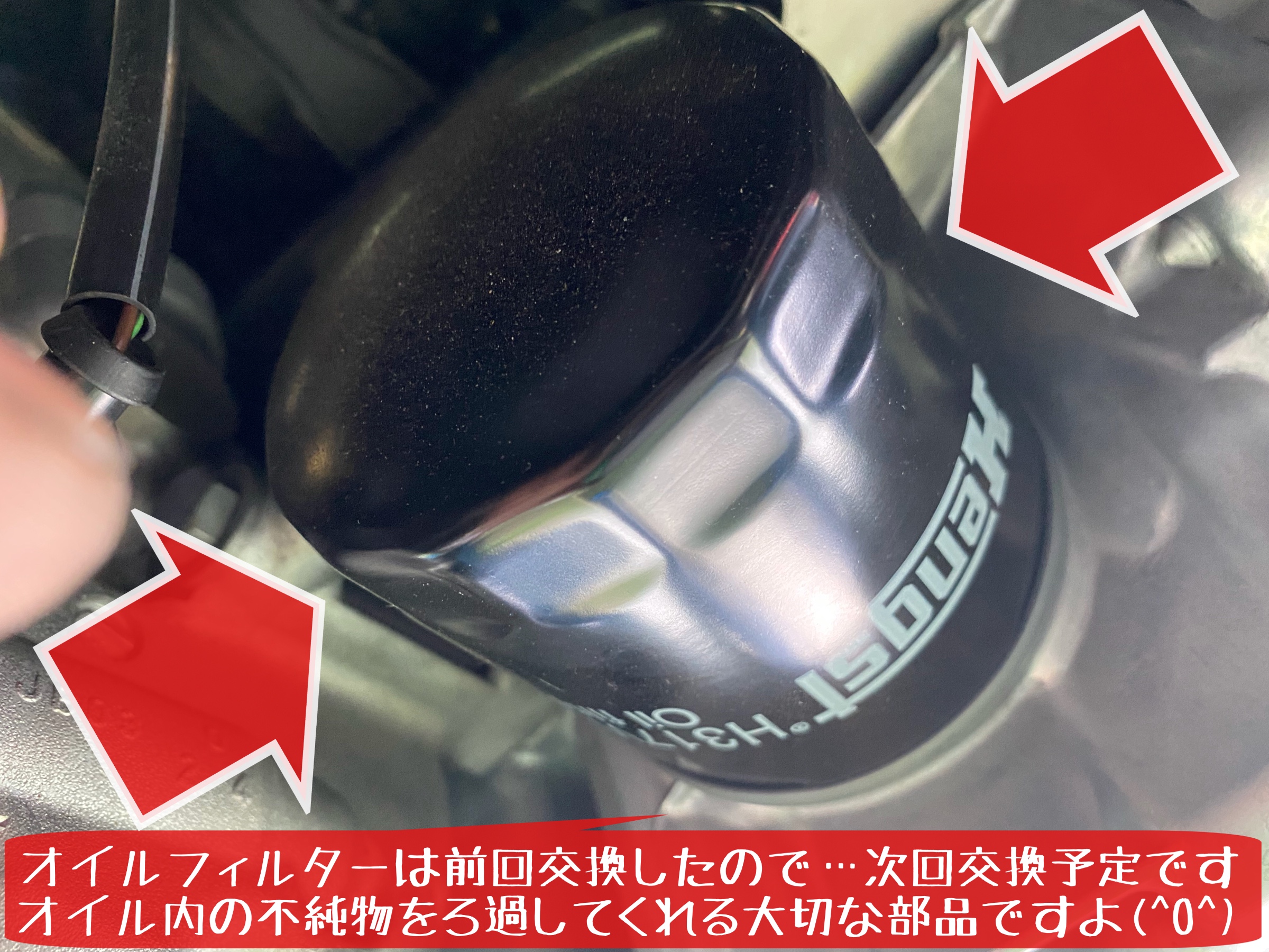 フォルクスワーゲン　ポロ　エンジンオイル交換　モチュール