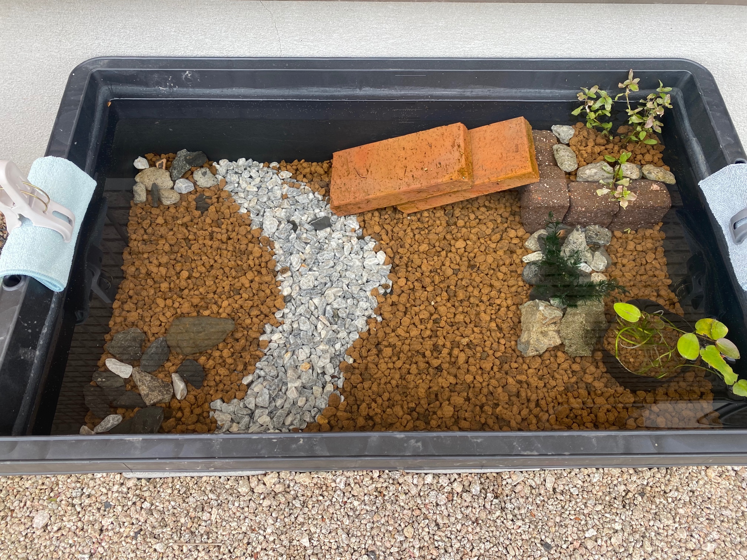 メダカの棲家 則松一家の部屋 タイヤ館 則松 タイヤからはじまる トータルカーメンテナンス タイヤ館グループ