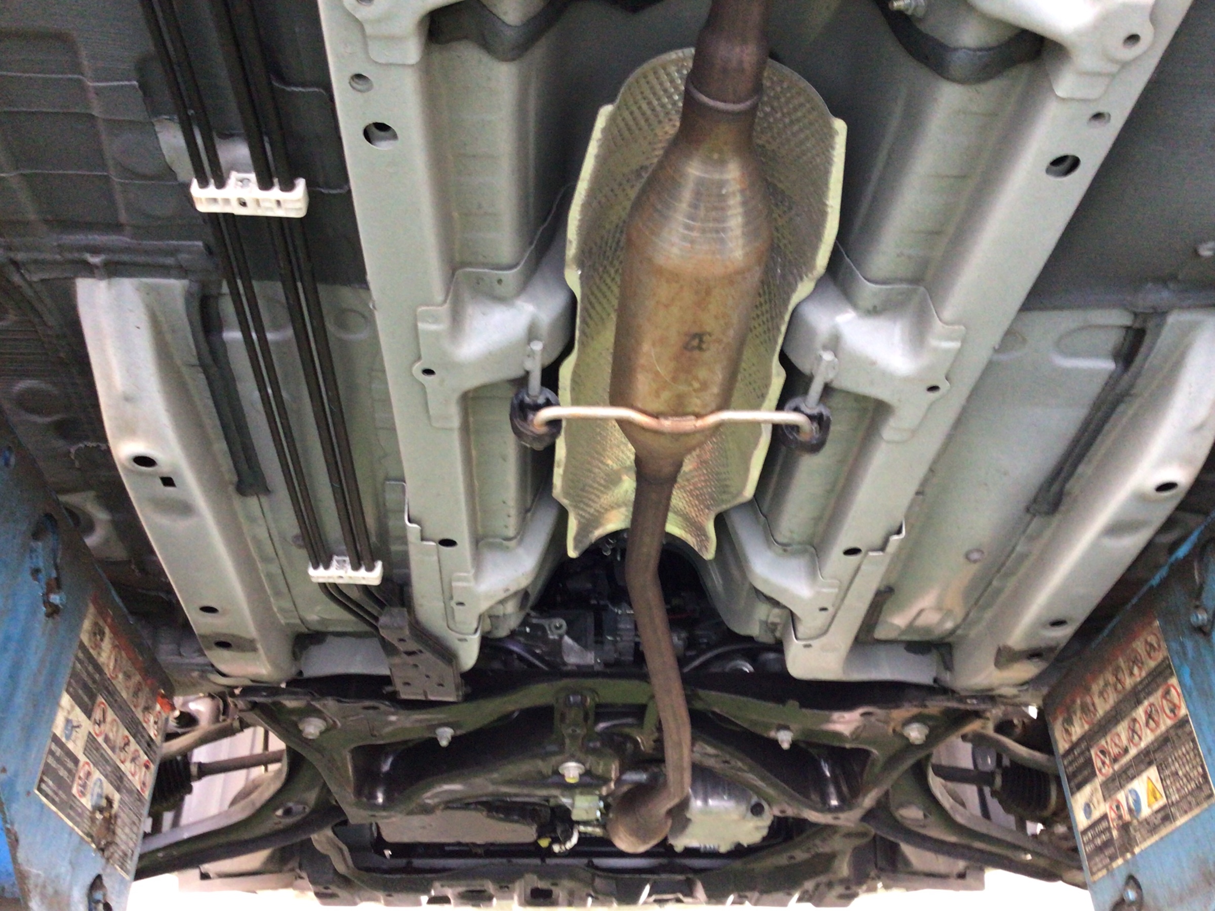 スタッフ
