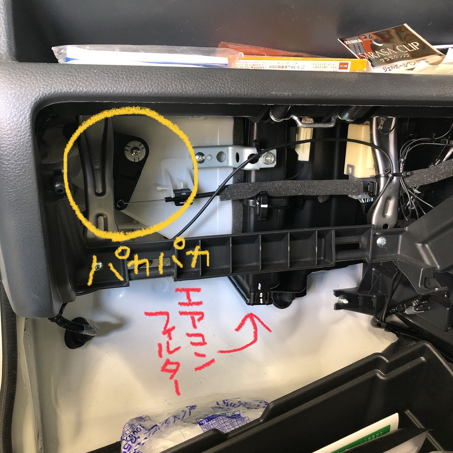 スタッフ撮影です