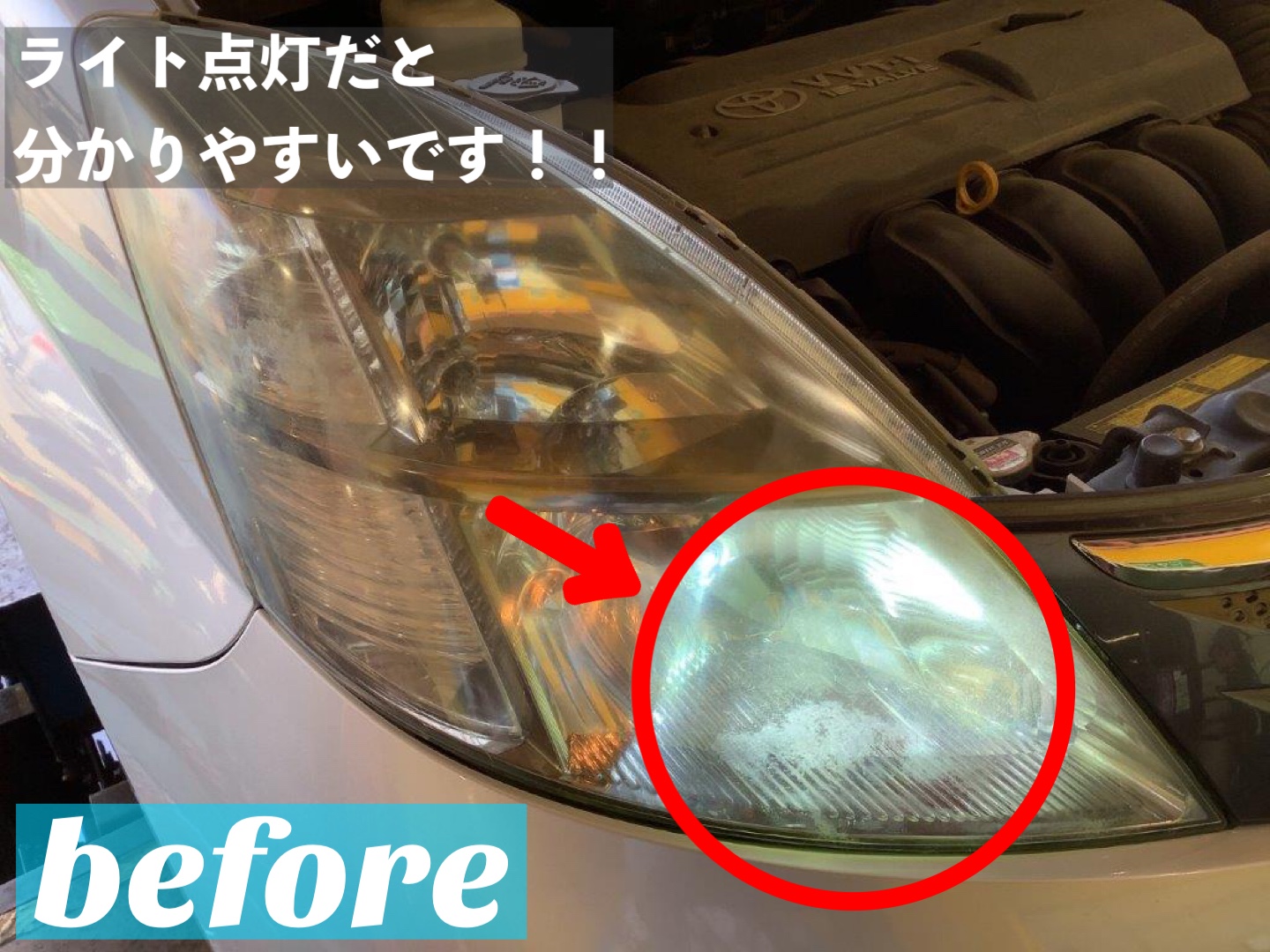 スタッフが撮影加工