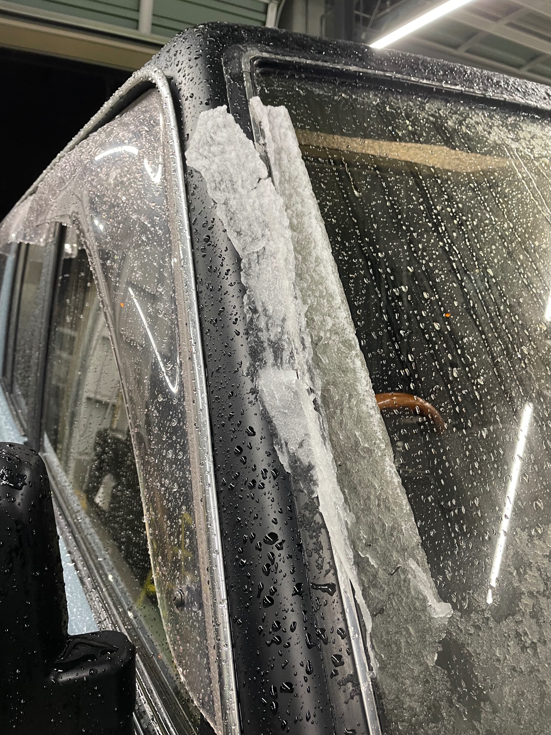 スタッフ撮影です