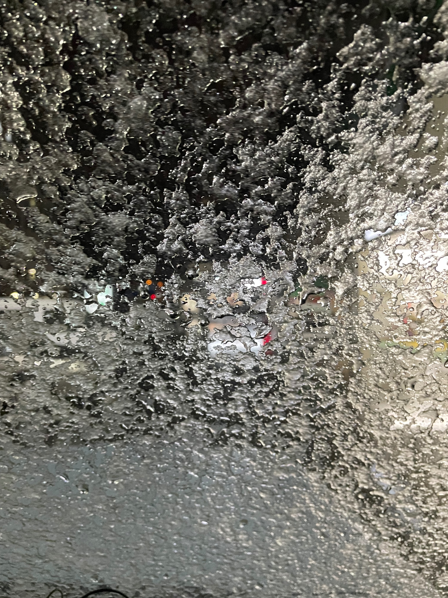 スタッフ撮影です