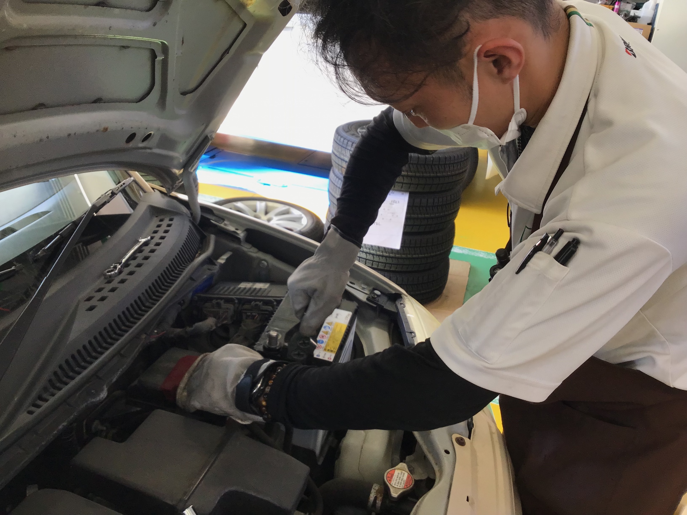 スタッフ撮影です。