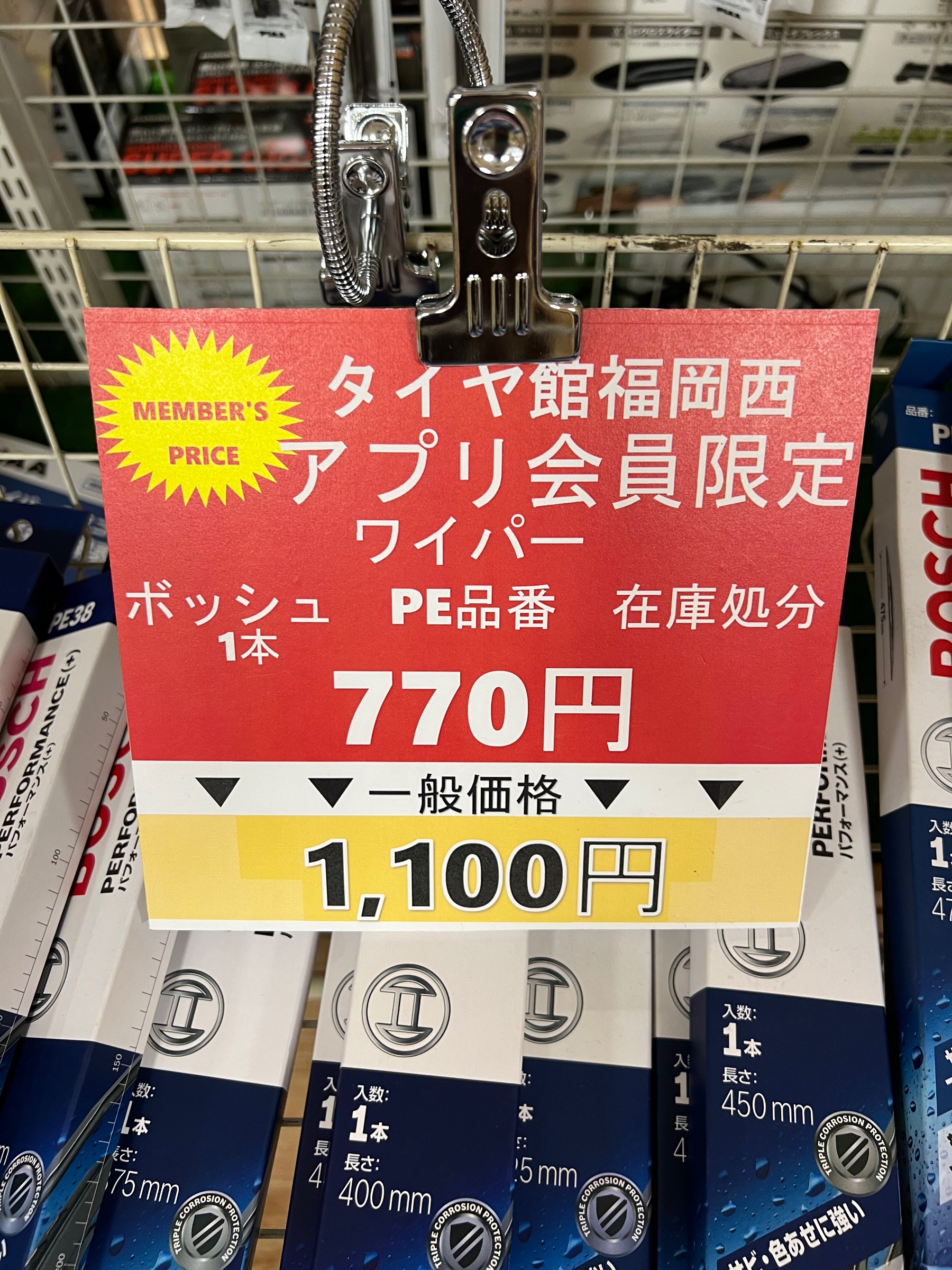 スタッフが撮影した画像です。