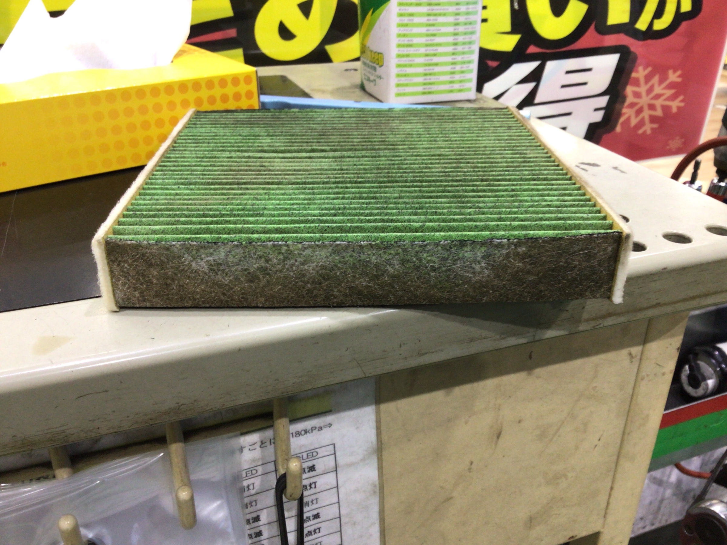 スタッフ
