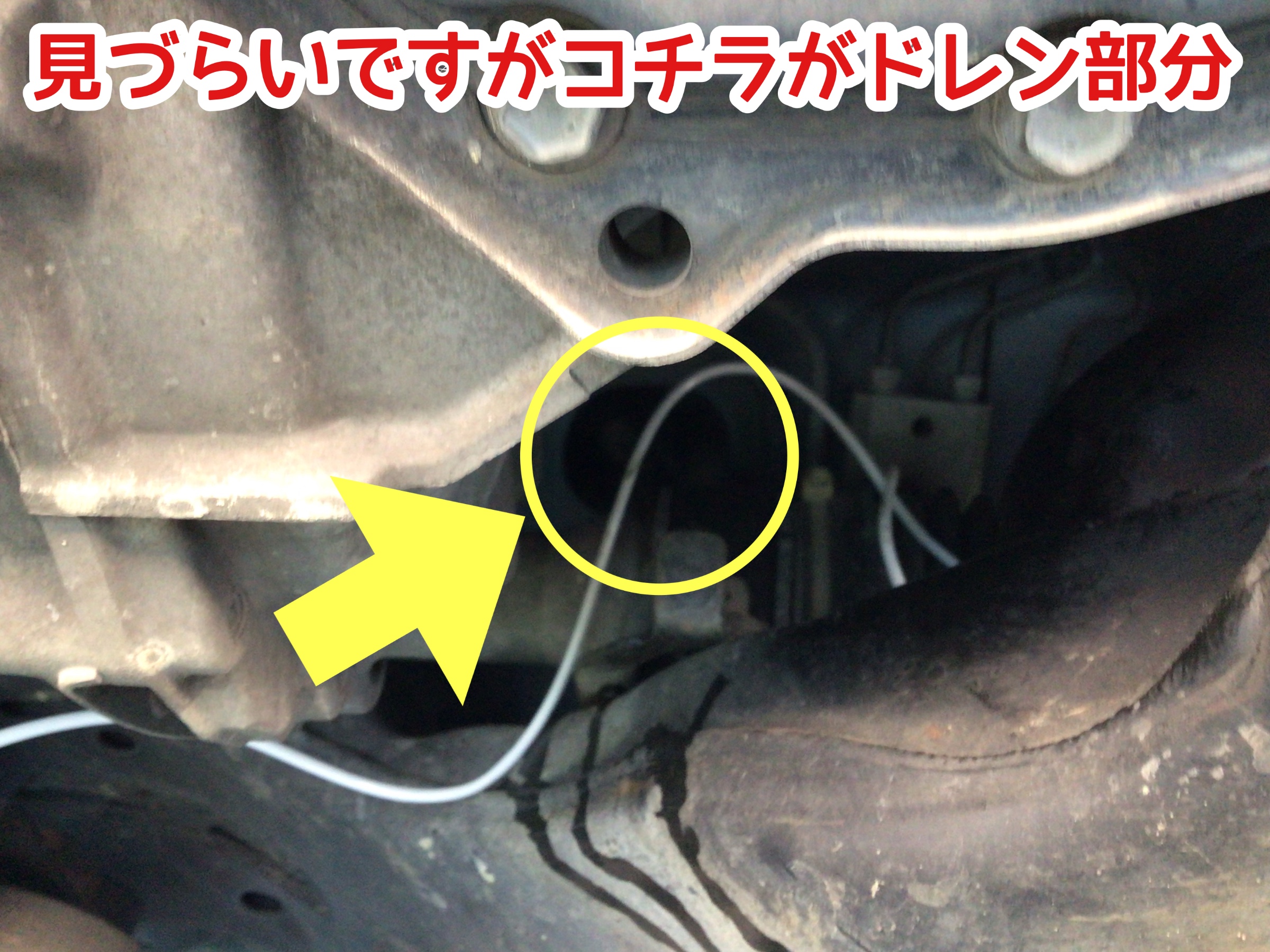 ☆【エバポレーター洗浄作業】ダイハツ ソニカ | 店舗おススメ情報