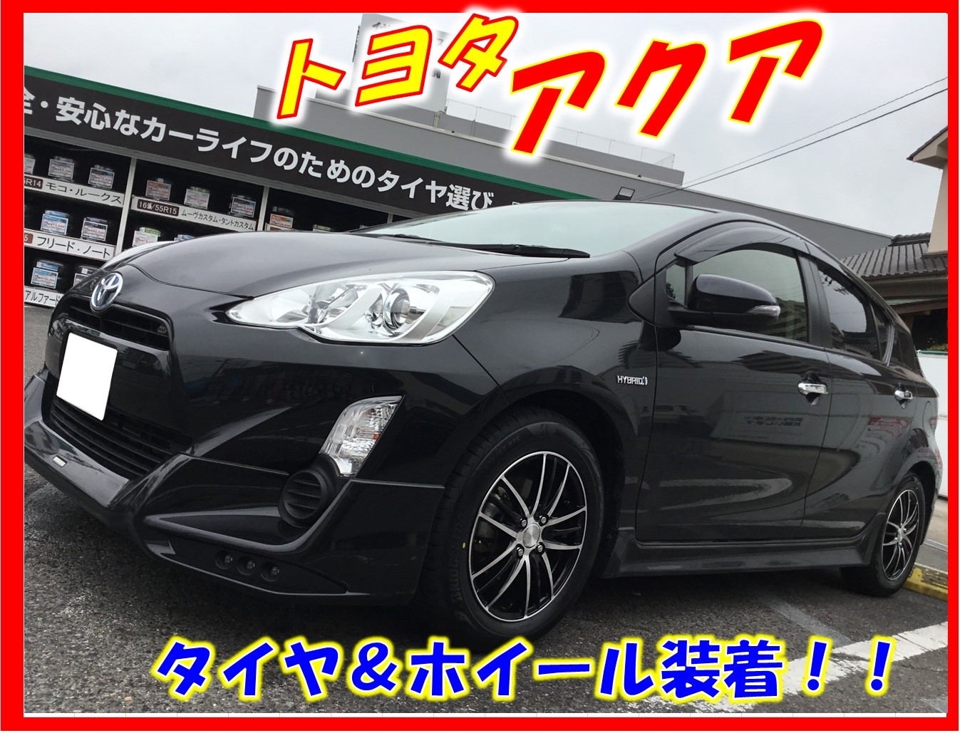 スタッフが撮影