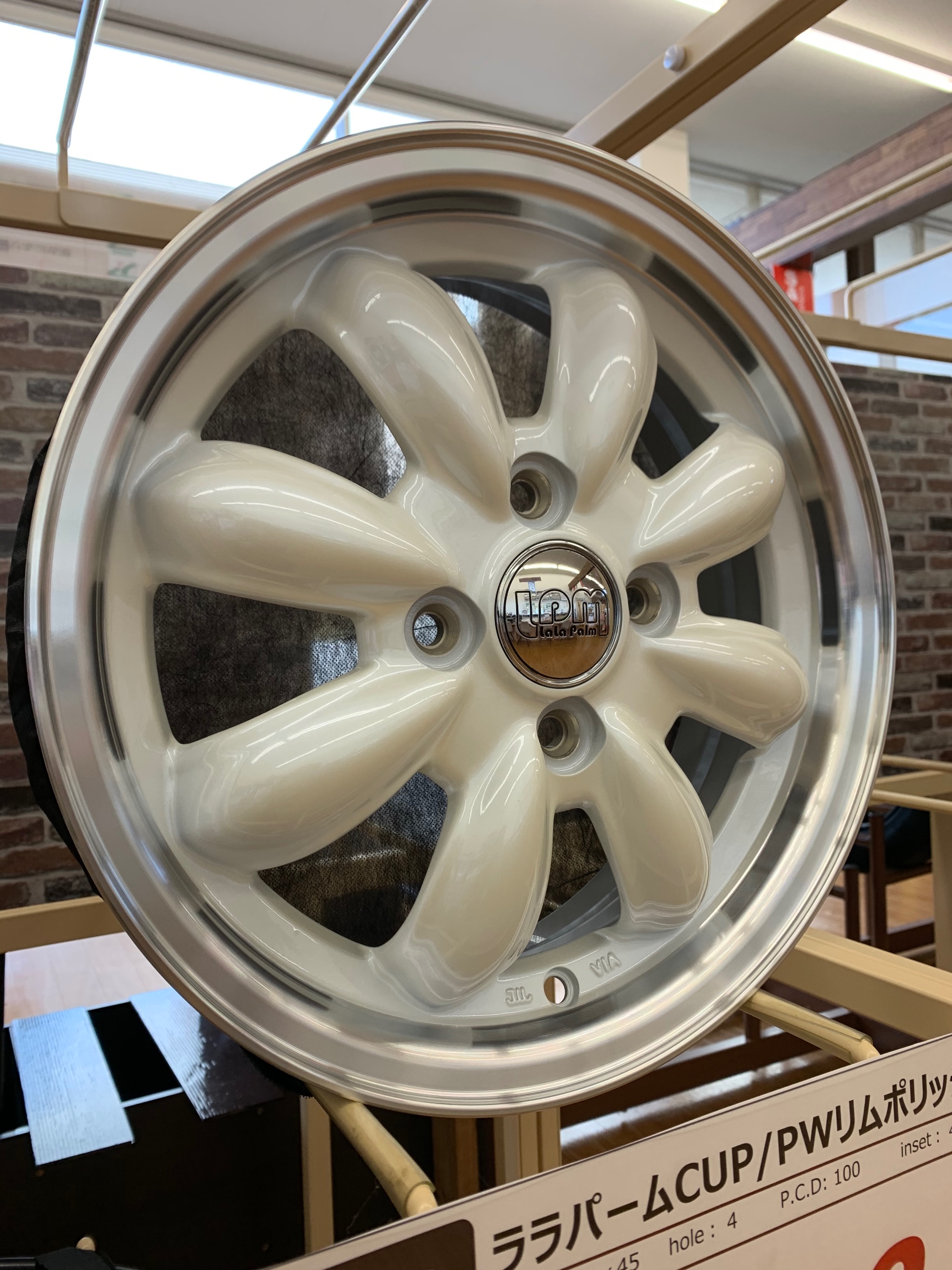 スタッフが撮影