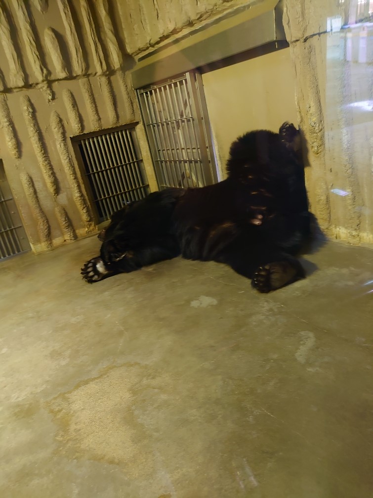 娘とデート In東山動物園 スタッフ日記 タイヤ館 前後 愛知県 三重県のタイヤ カー用品ショップ タイヤからはじまる トータルカーメンテナンス タイヤ館グループ