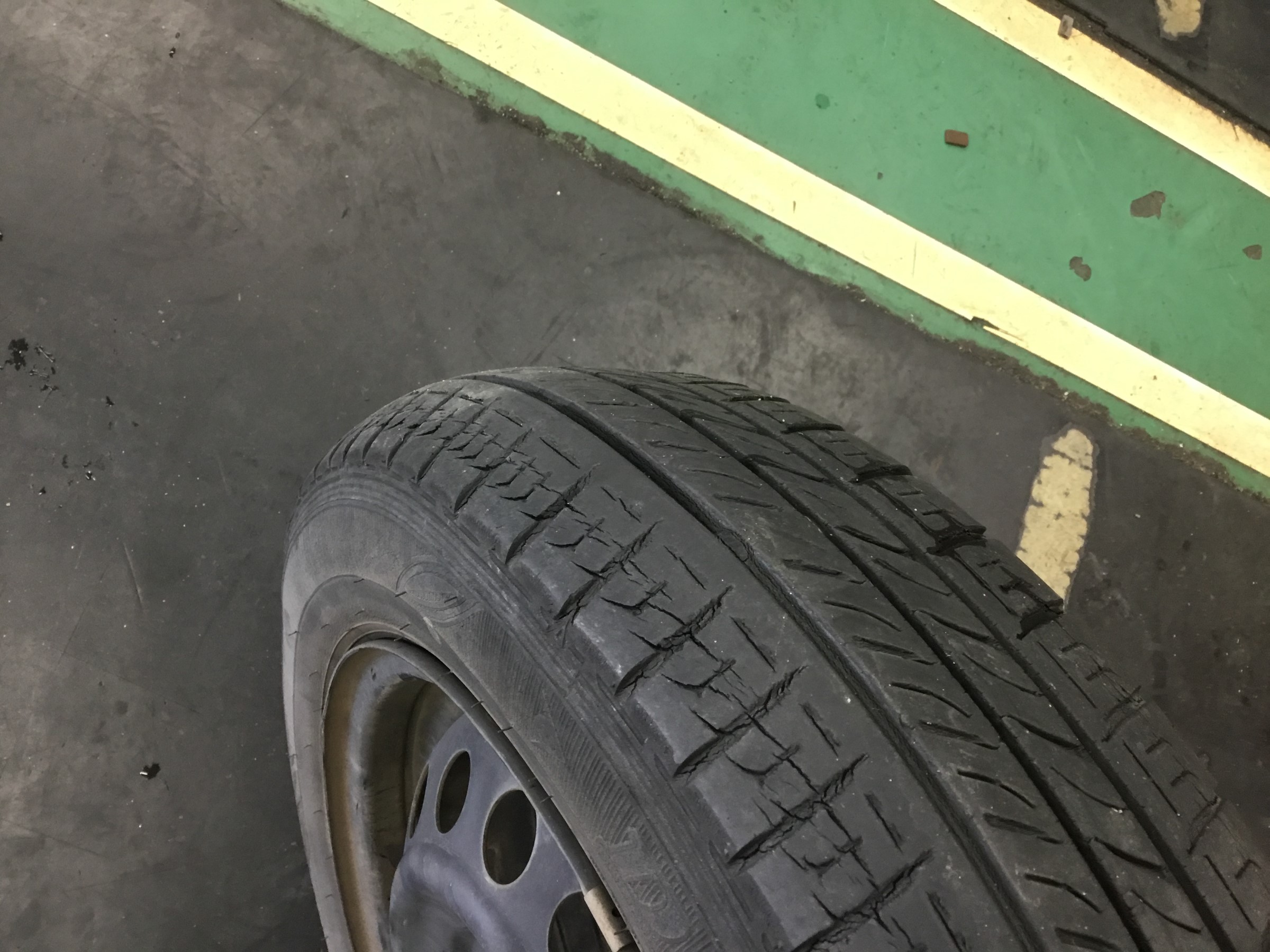 スタッフが撮影
