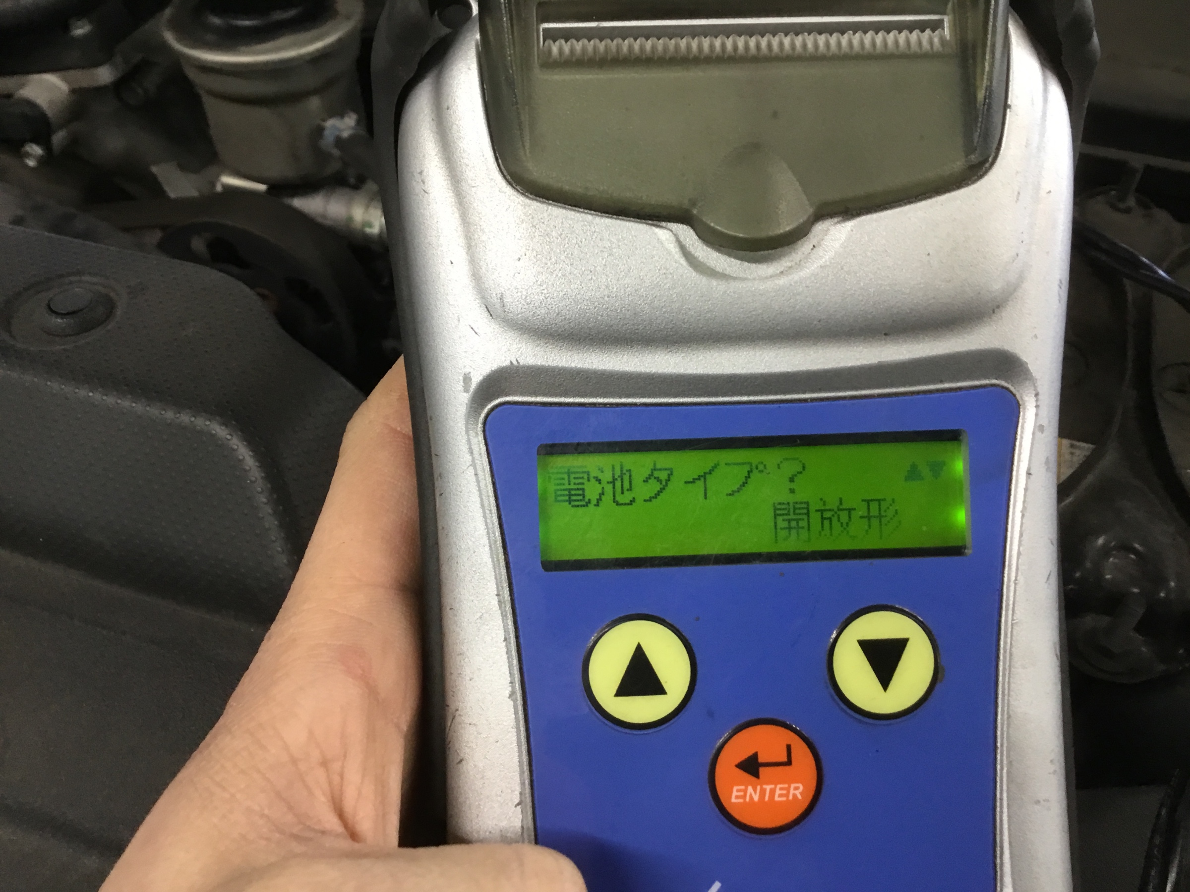 スタッフが撮影した画像です