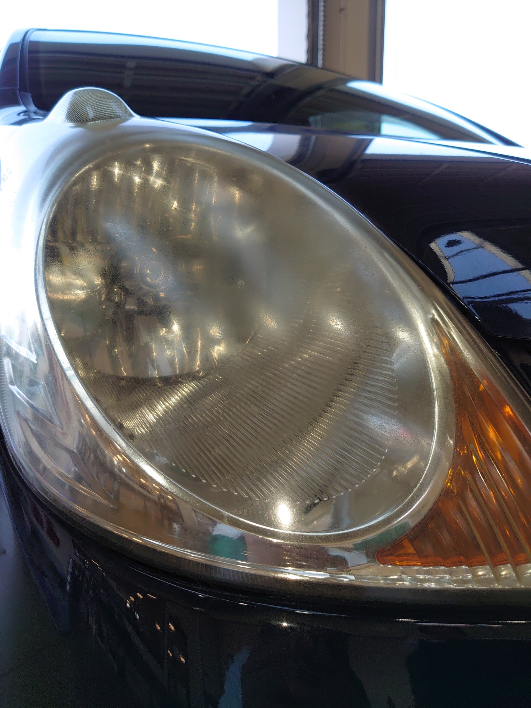 スタッフ撮影写真