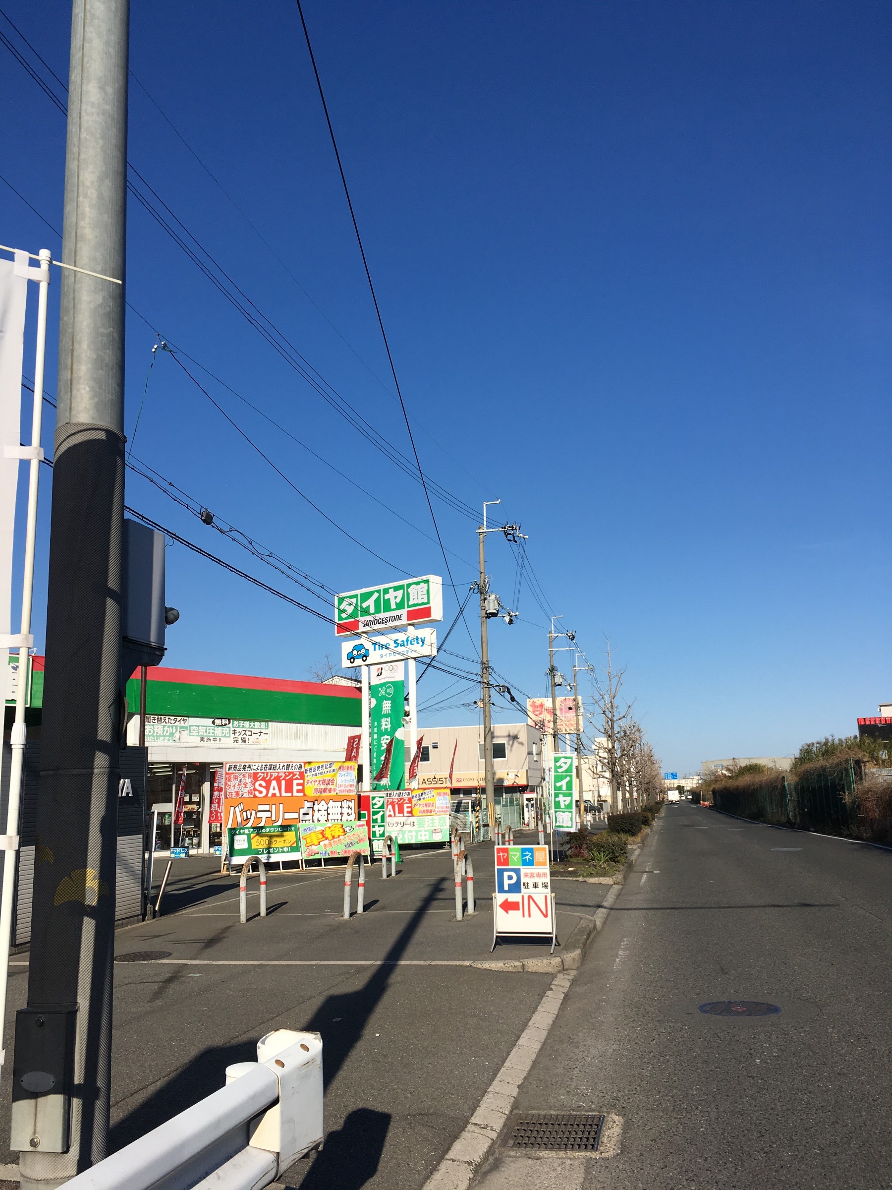 画像はスマホ撮影分です。