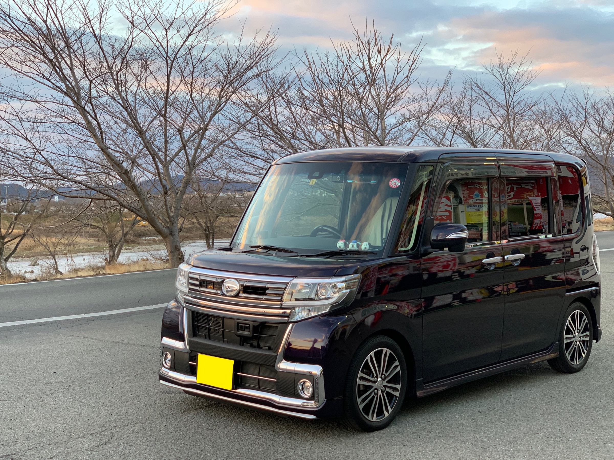 タント車高調 テイン