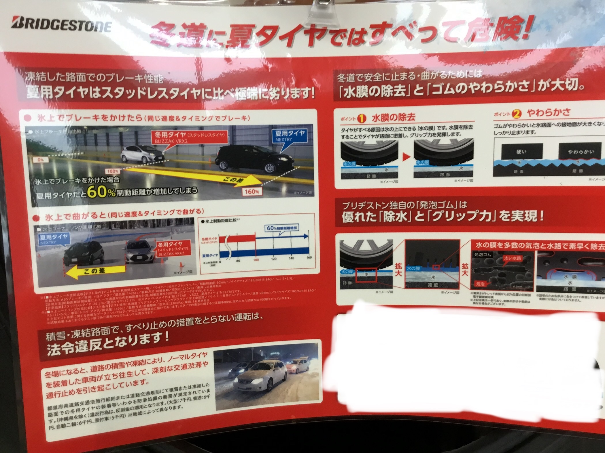 スタッフが撮影した画像です