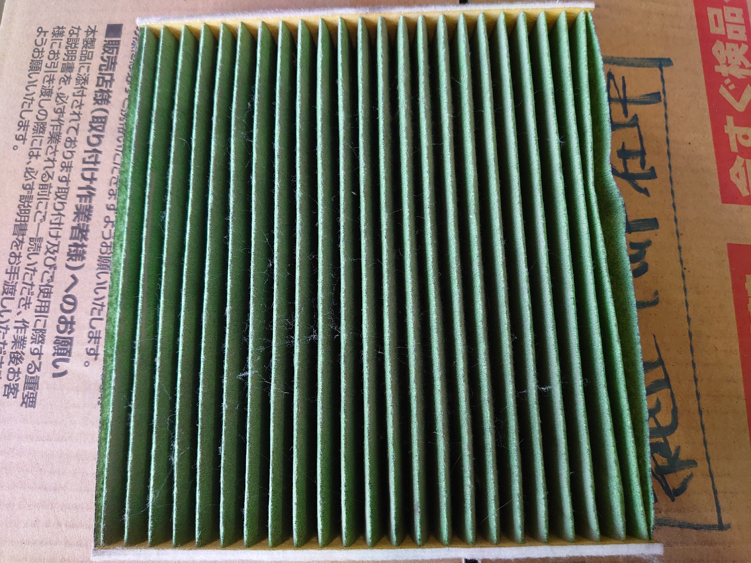 スタッフ撮影写真