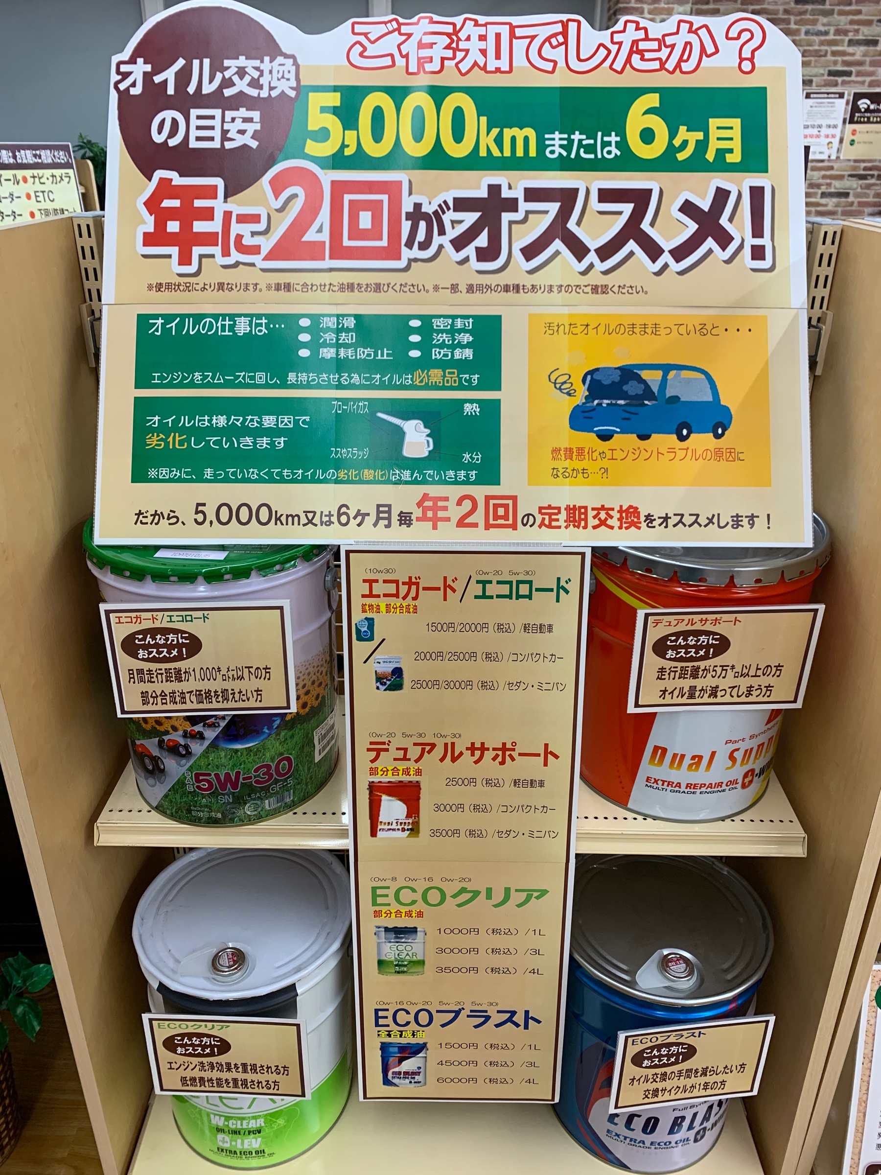 スタッフが撮影