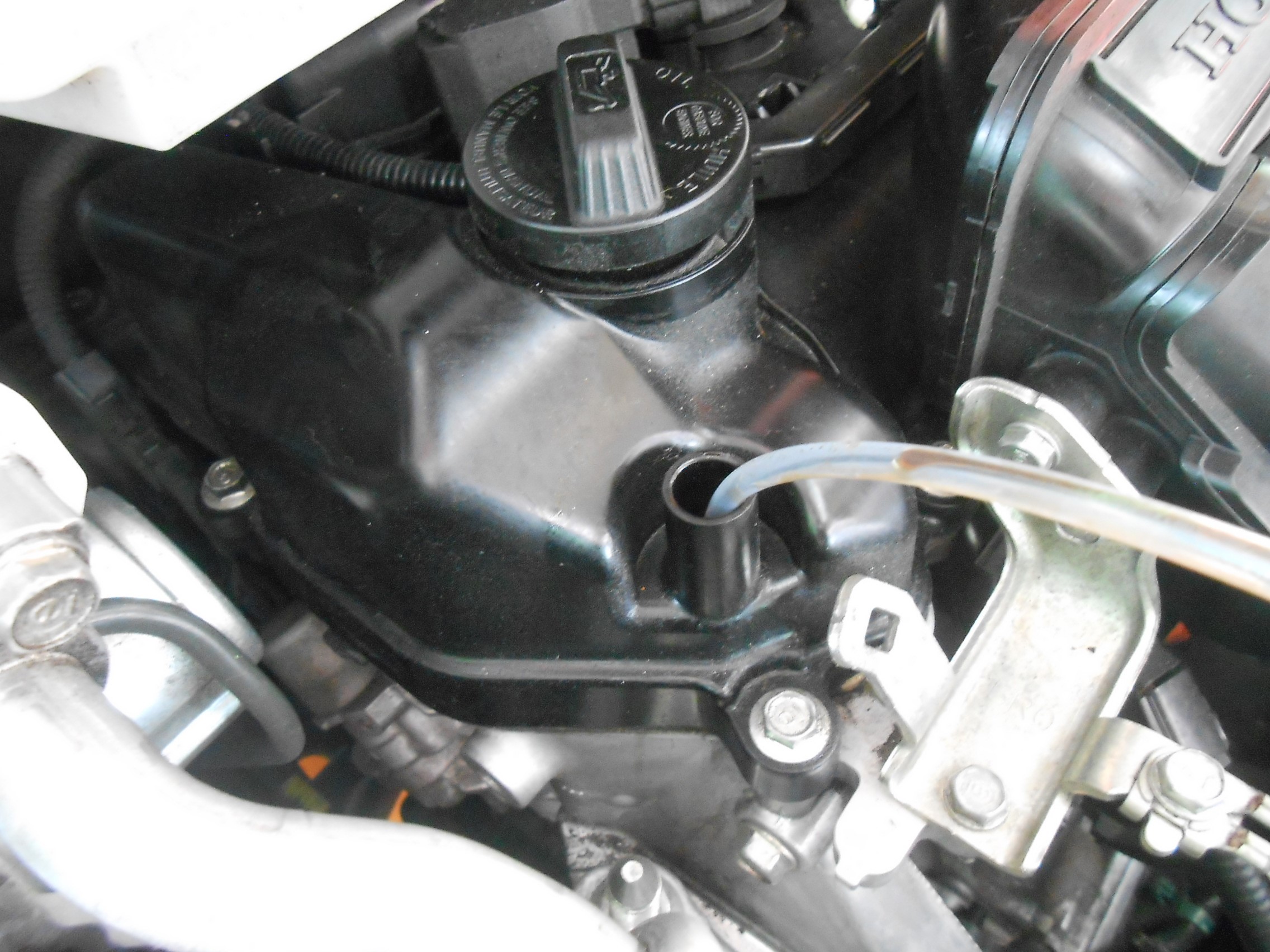 シャトルhv オイル交換 ホンダ シャトル メンテナンス商品 オイル関連 エンジンオイル交換 サービス事例 タイヤ館 所沢 タイヤからはじまる トータルカーメンテナンス タイヤ館グループ