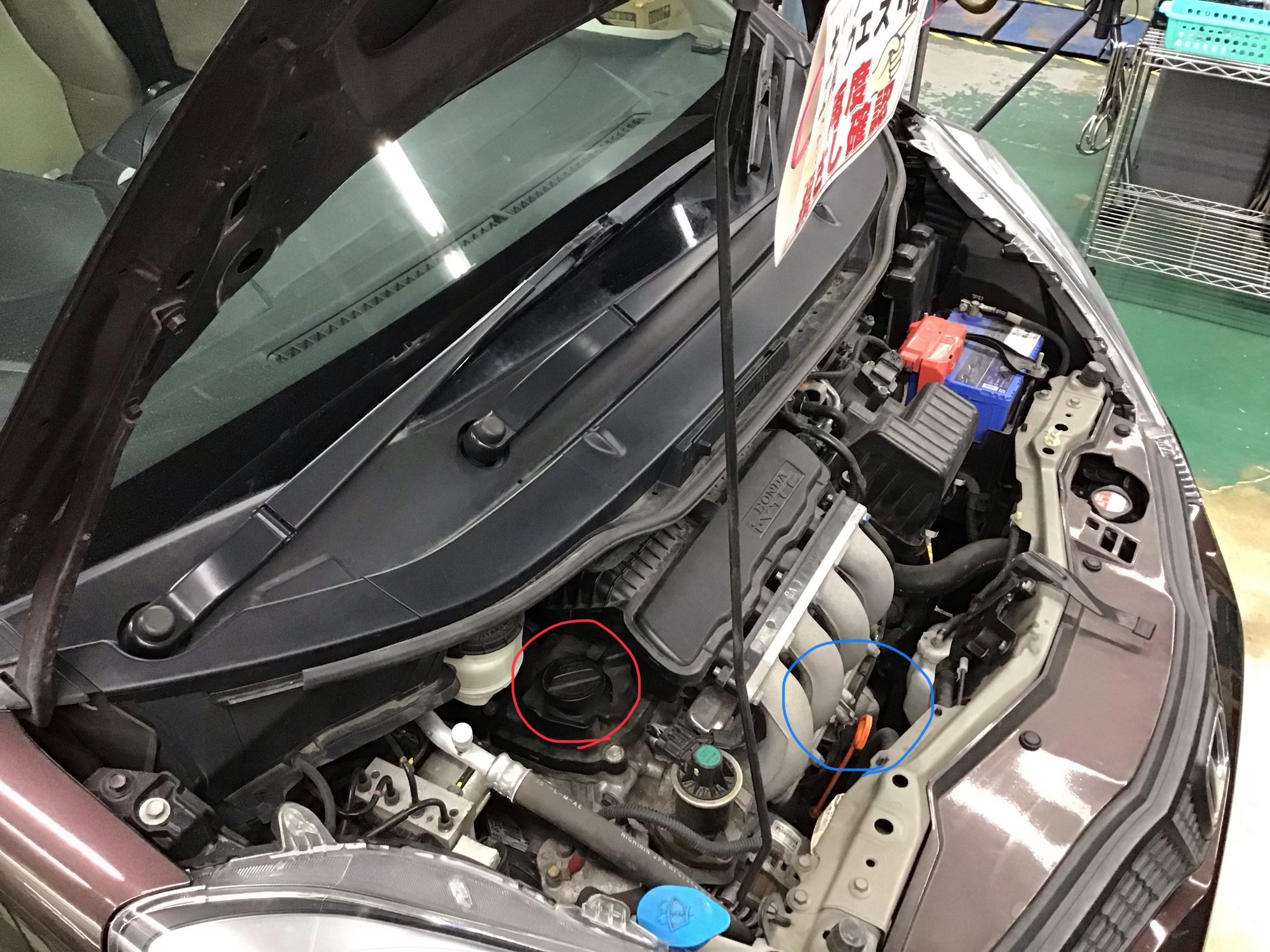 フィット オイル エレメント交換 サービス事例 タイヤ館 山鼻 タイヤからはじまる トータルカーメンテナンス タイヤ館グループ