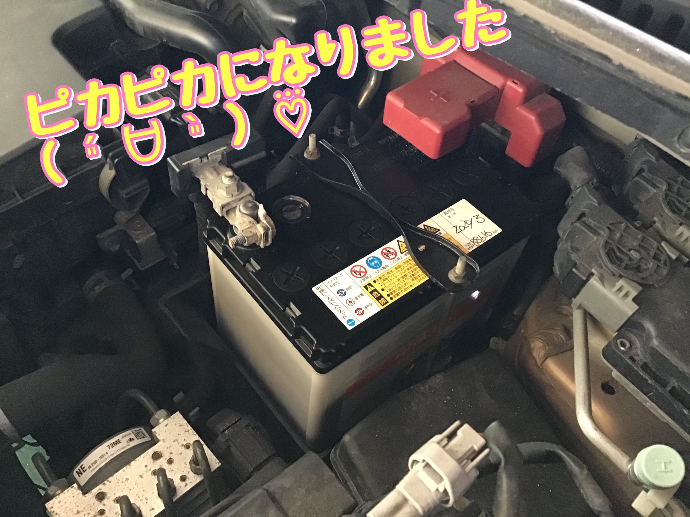 スタッフが撮影加工しました