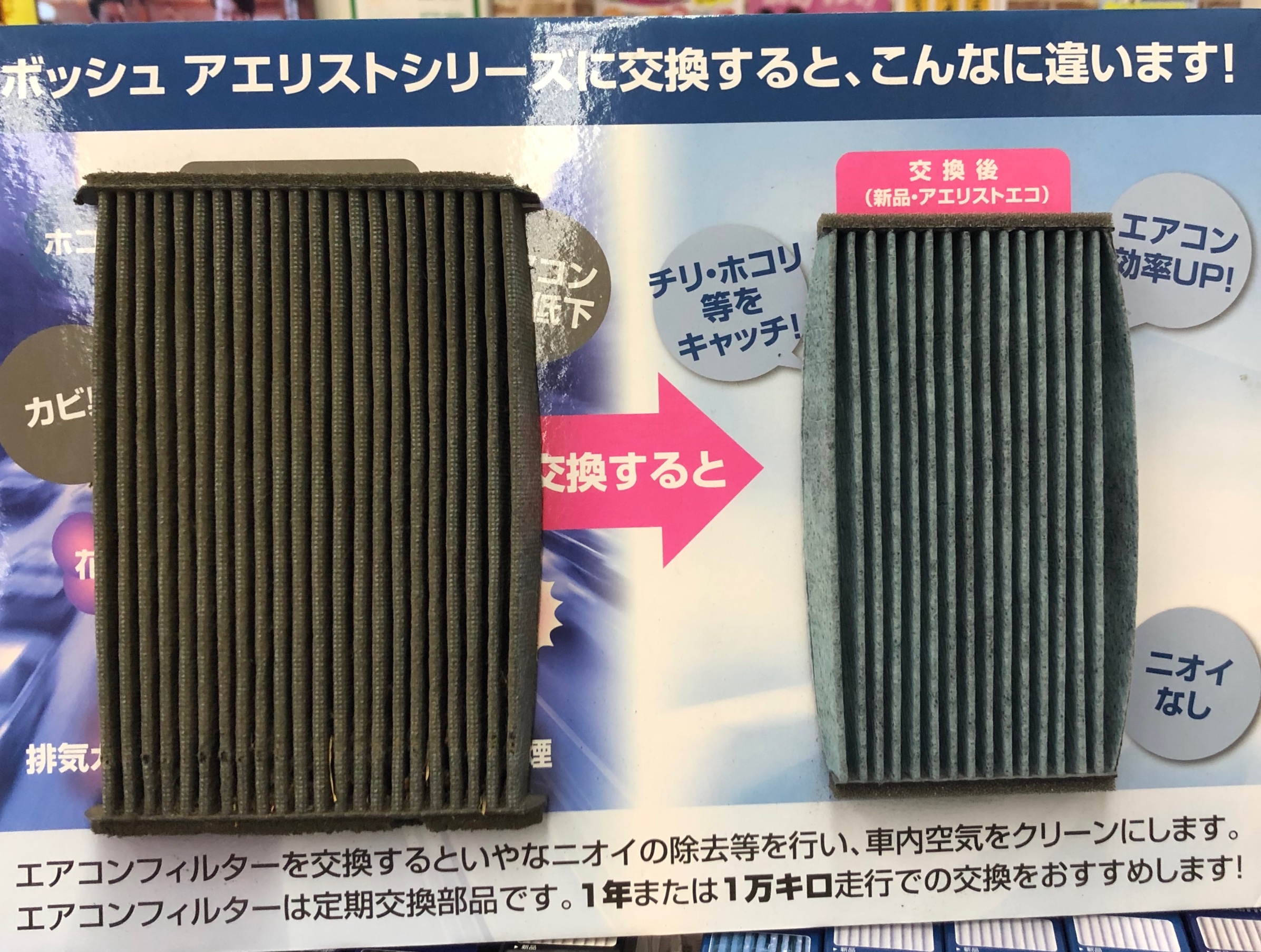 スタッフが撮影しました