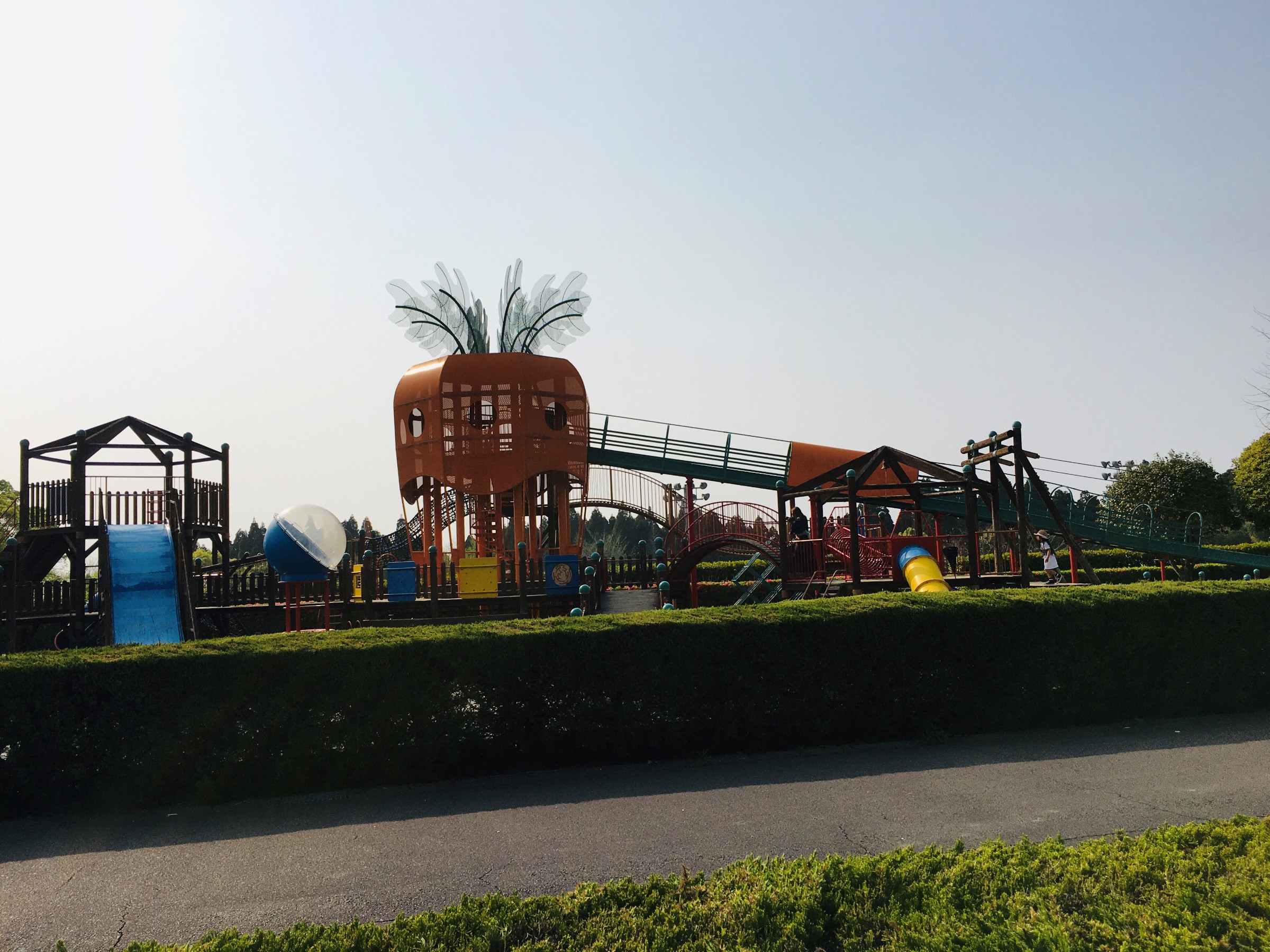 公園 スタッフ日記 タイヤ館 国分 タイヤからはじまる トータルカーメンテナンス タイヤ館グループ