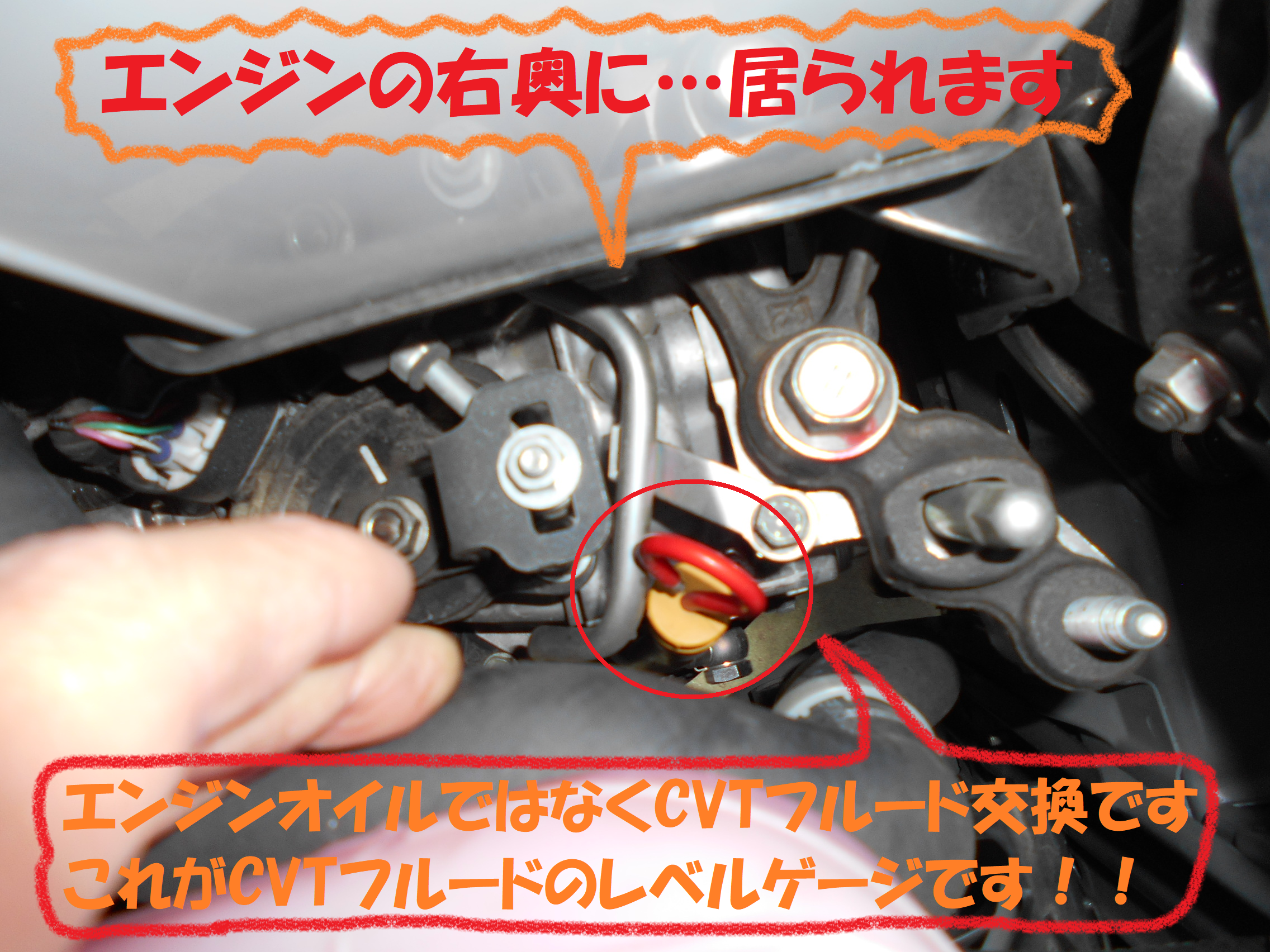 ダイハツ タント エンジンオイルではなく Cvtオイル交換です ダイハツ タントカスタム メンテナンス商品 オイル関連 エンジンオイル交換 総和店こだわり作業 タイヤ館 総和 茨城県のタイヤ カー用品ショップ タイヤからはじまる トータルカー