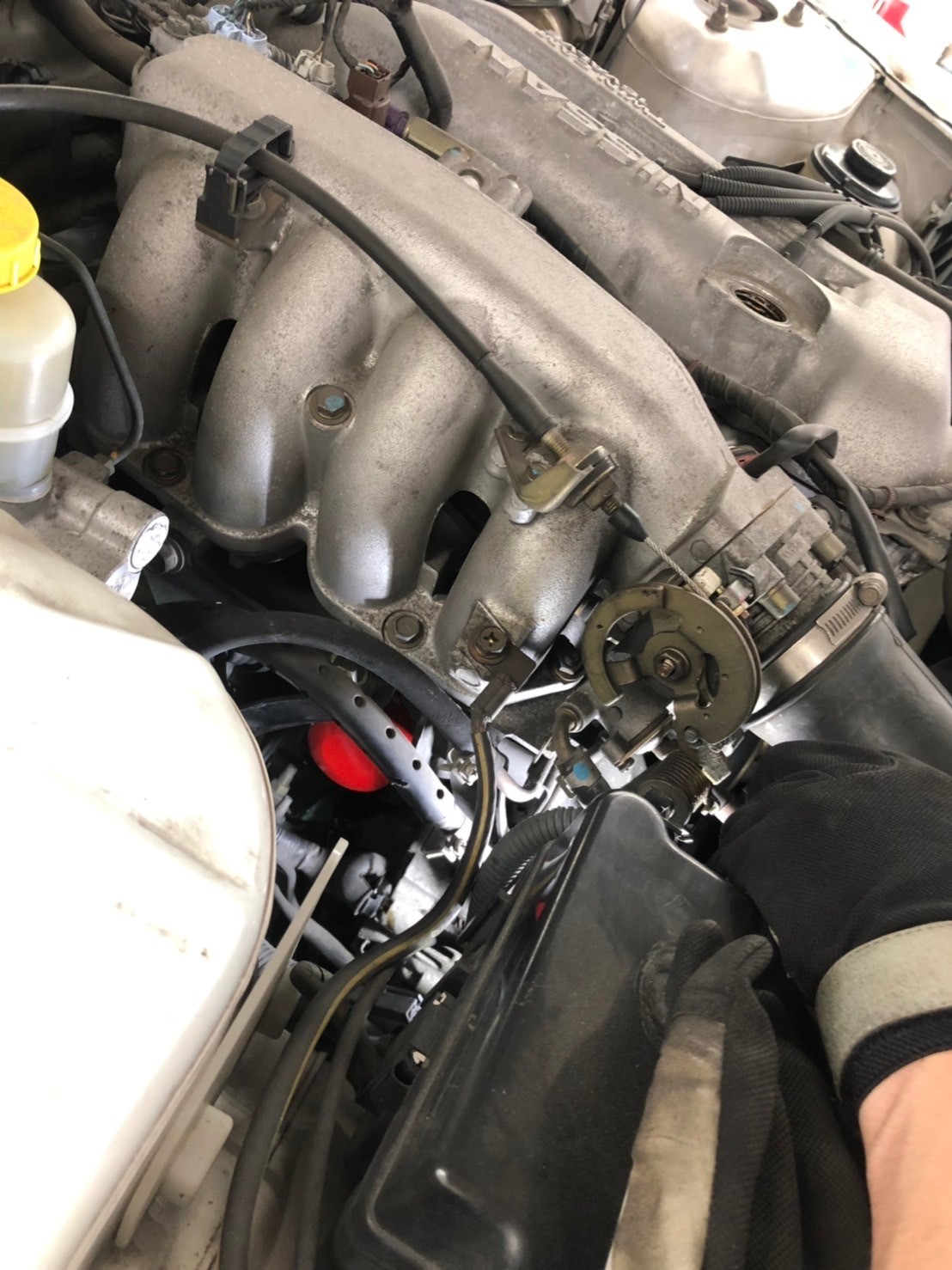高くなった なぜここまで上がってしまったのか シルビア S15 オイル交換 日産 シルビア メンテナンス商品 オイル関連 エンジンオイル交換 サービス事例 タイヤ館 瀬谷 神奈川県のタイヤ カー用品ショップ タイヤからはじまる トータルカーメンテナンス