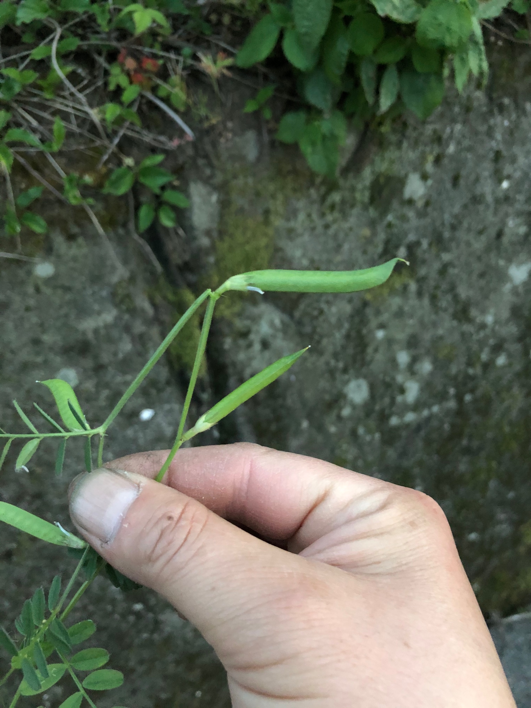 自分が撮影してます