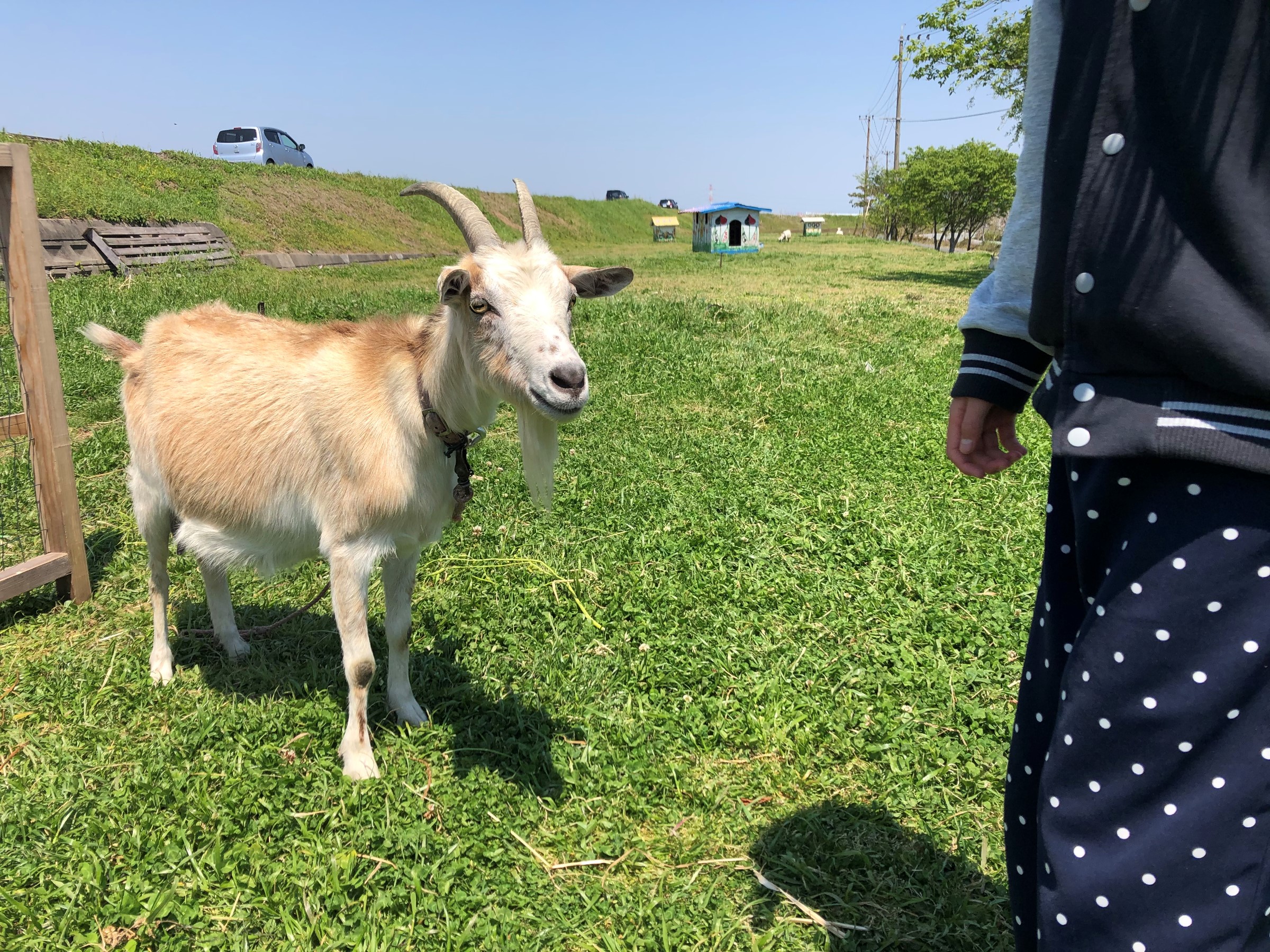 やぎさん スタッフ日記 タイヤ館 佐賀大和インター タイヤからはじまる トータルカーメンテナンス タイヤ館グループ